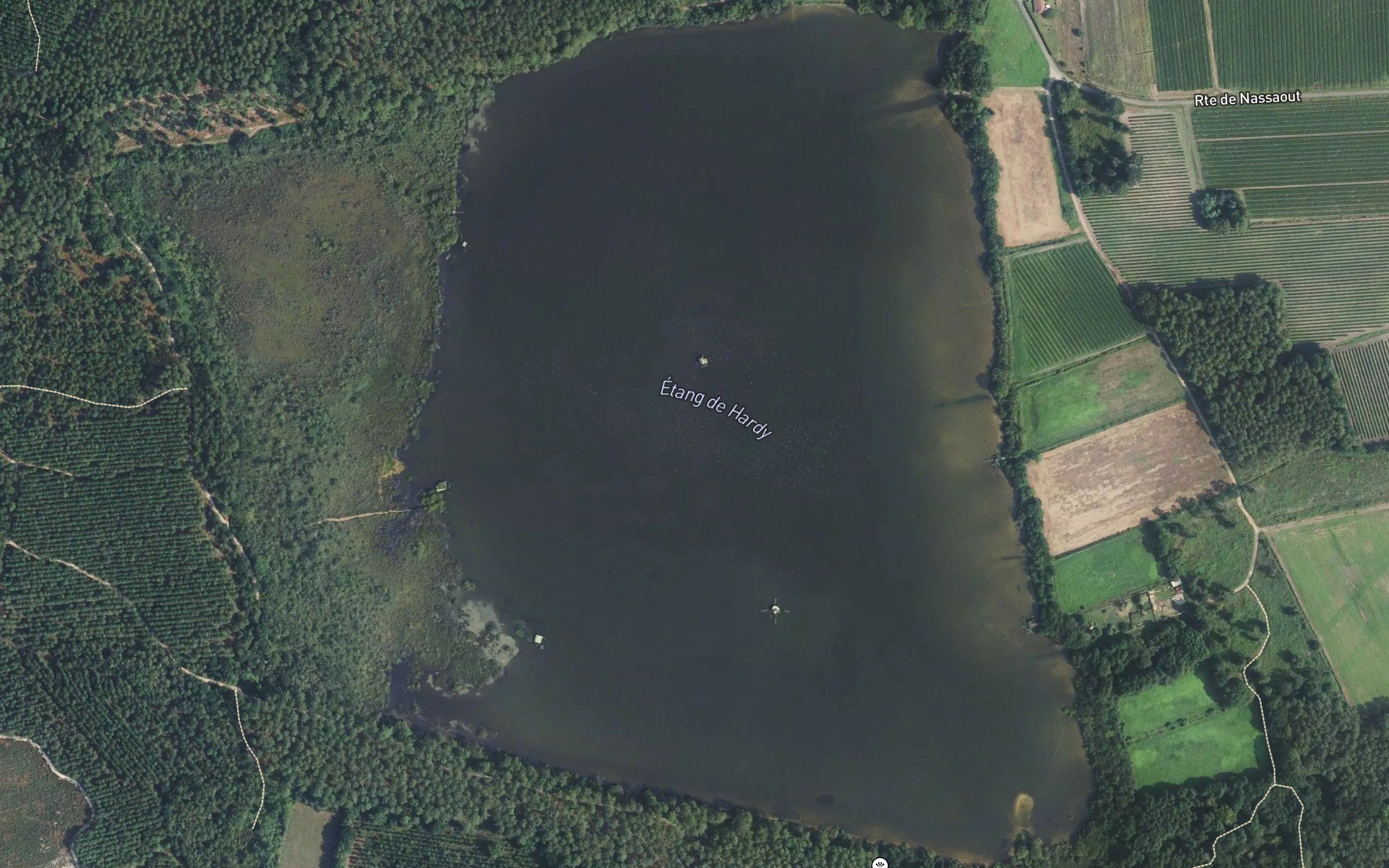 Etang d'Hardy