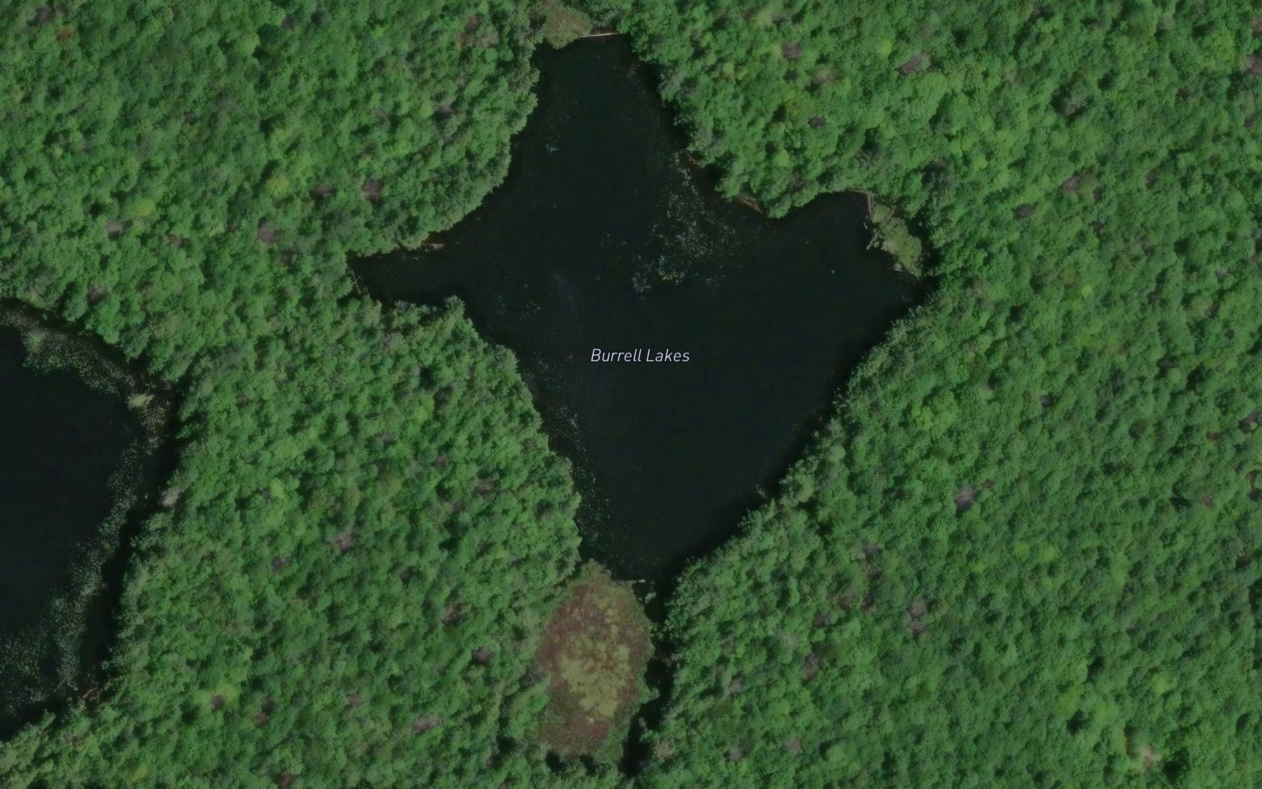 Satellite map of the Burrell Lakes