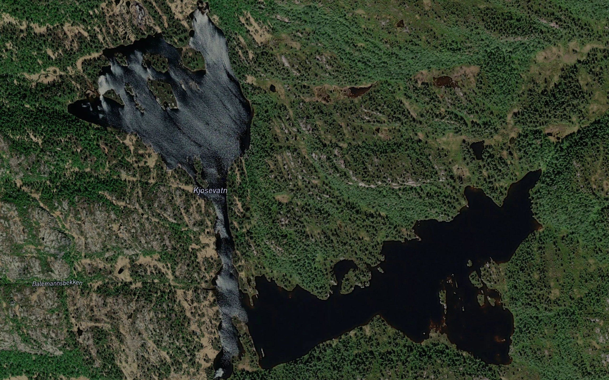 Kjosevatn