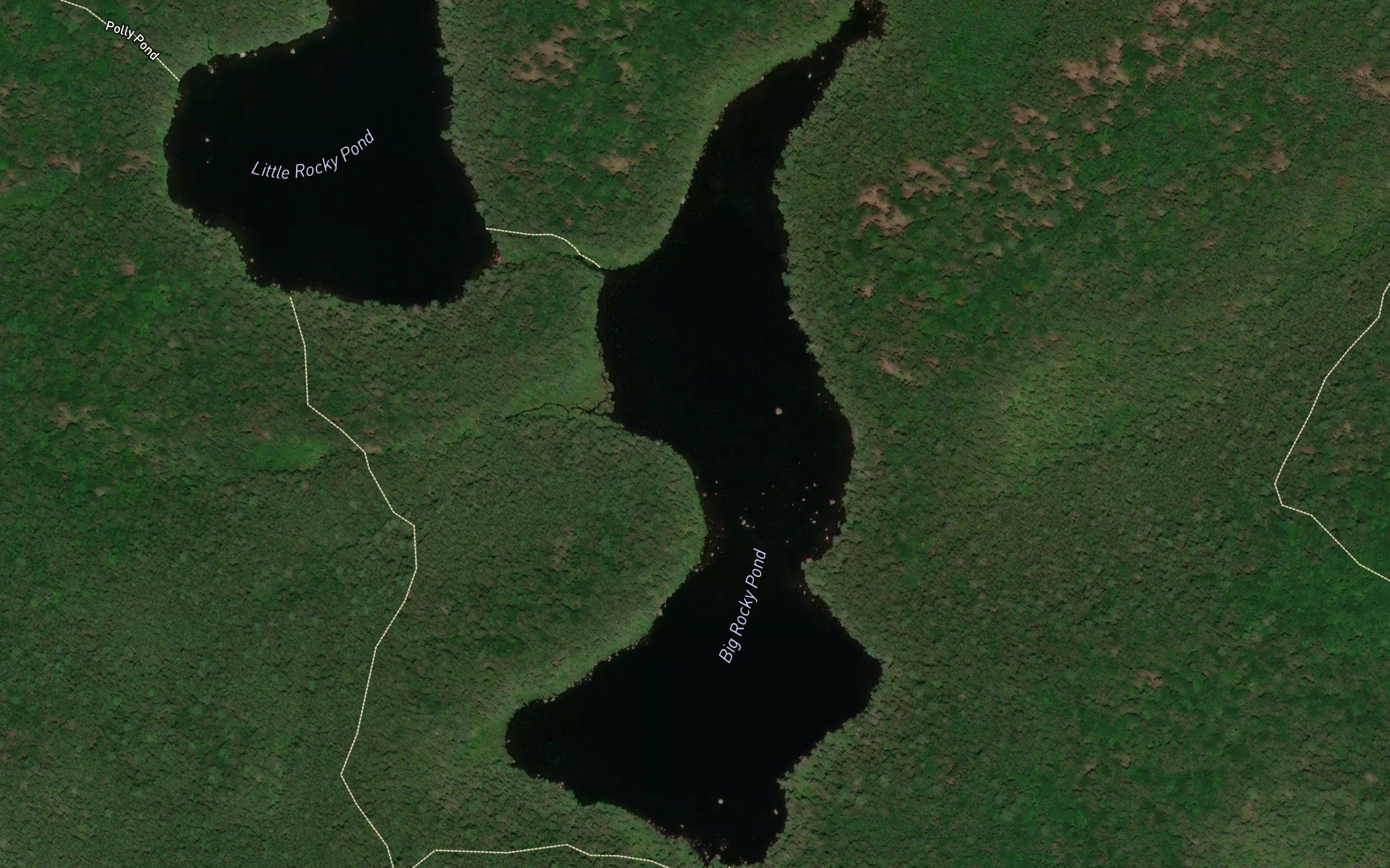 Rocky Pond