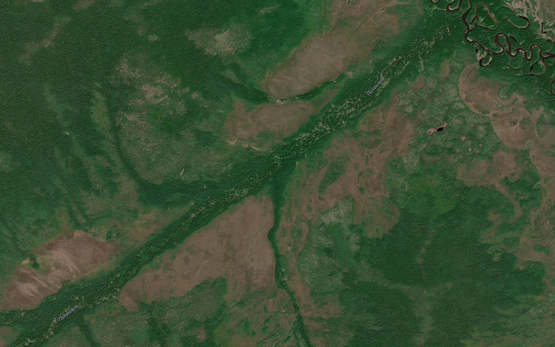 Satellite map of the Bol'shevik