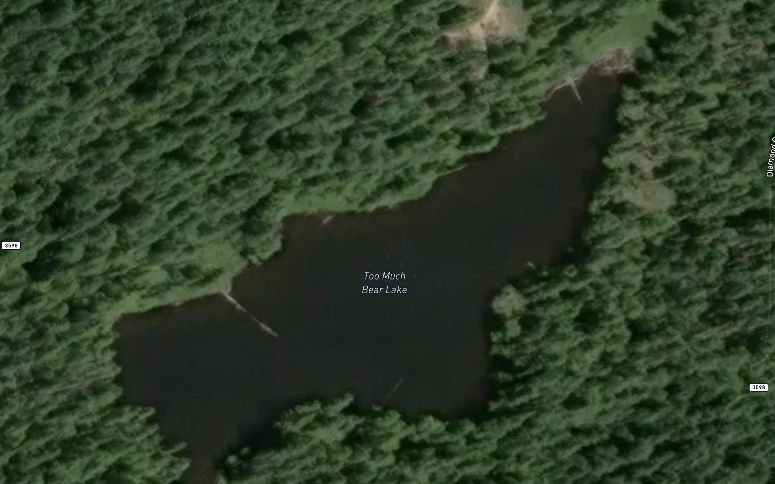 Too Much Bear Lake