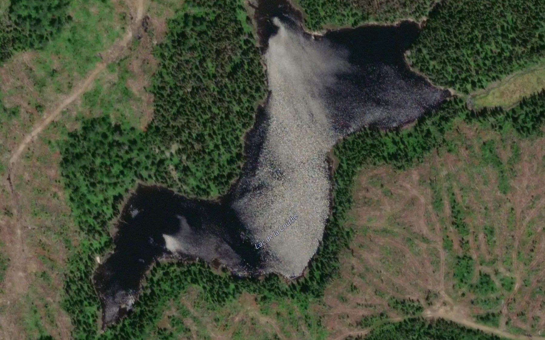 Satellite map of the Lac de la Courbe