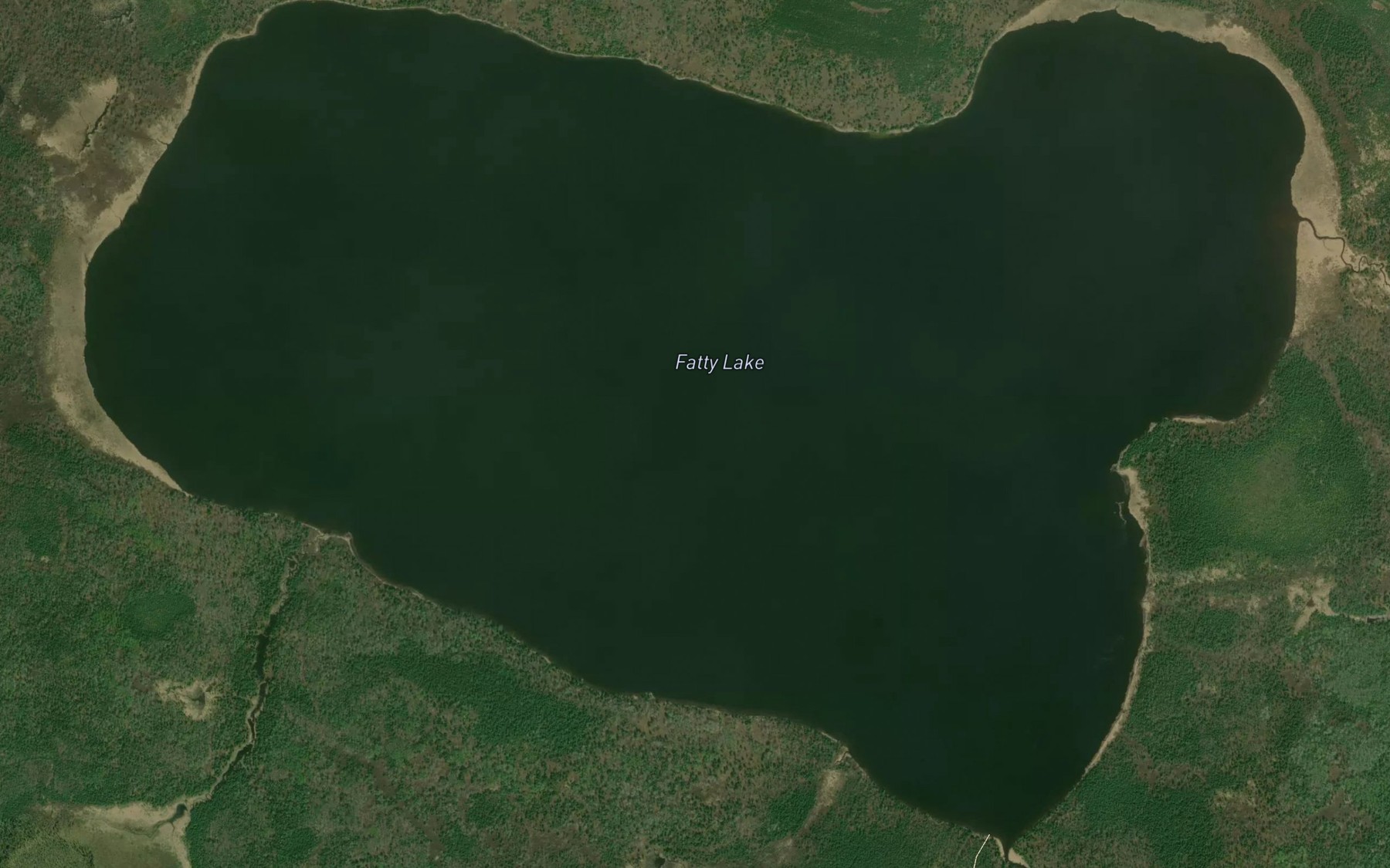 Satellite map of the Fatty Lake