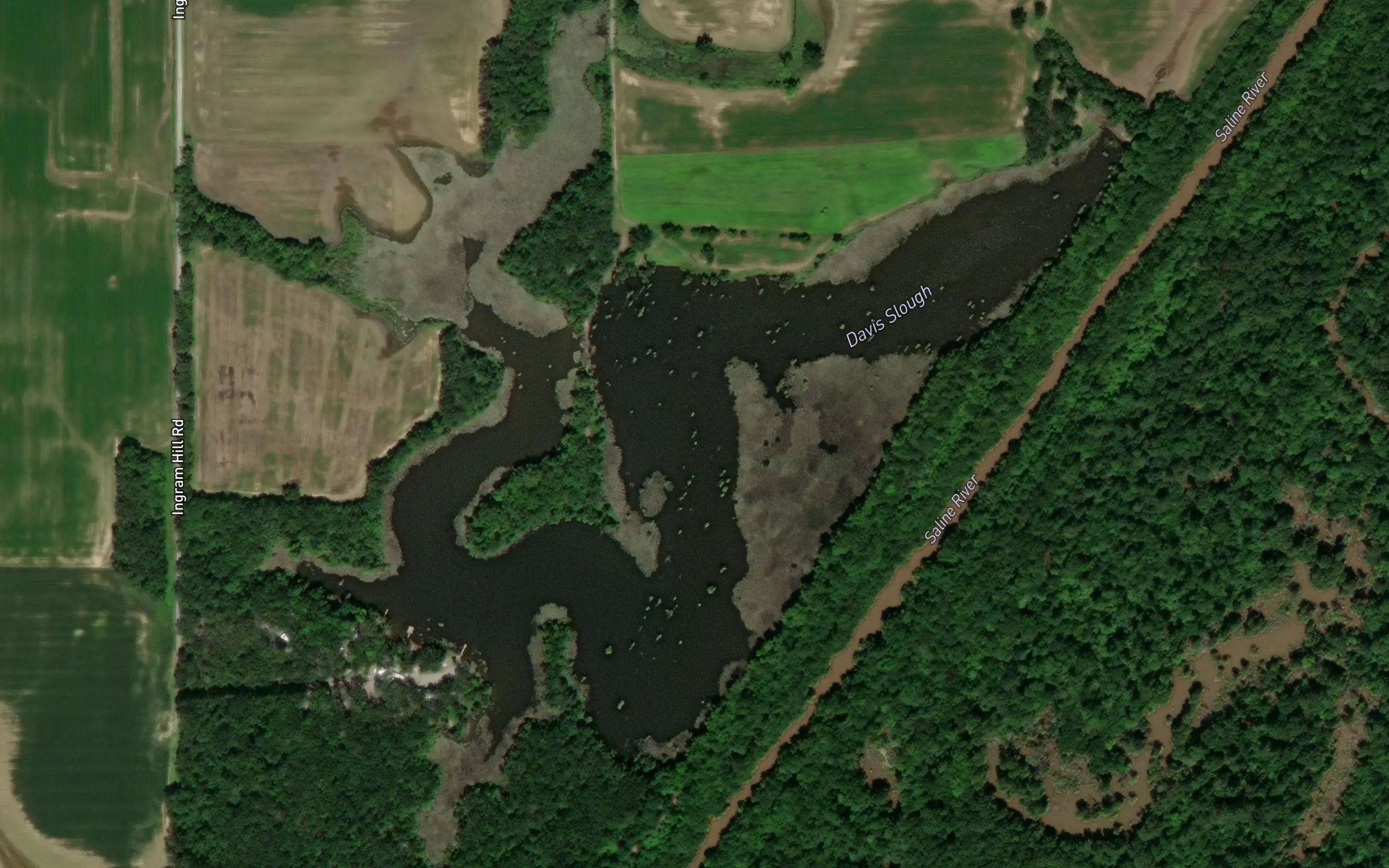 Davis Slough