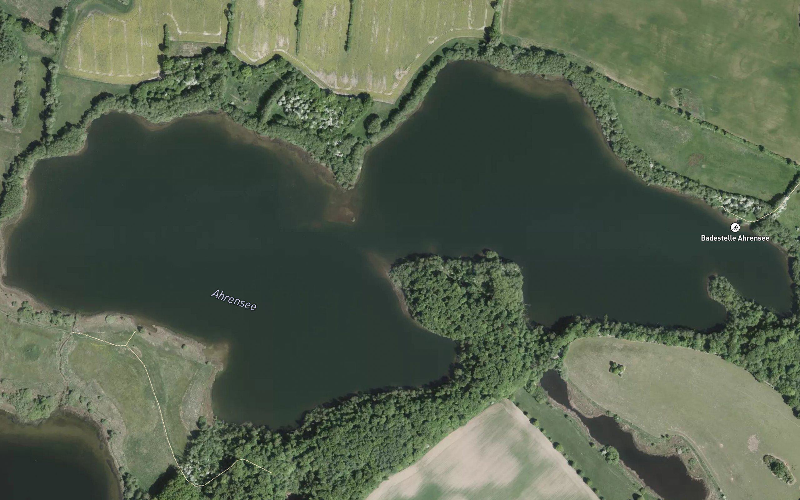 Ahrensee