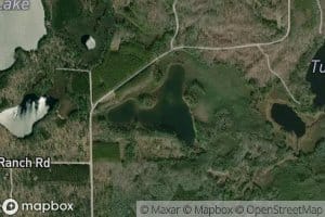 Shallow Lake