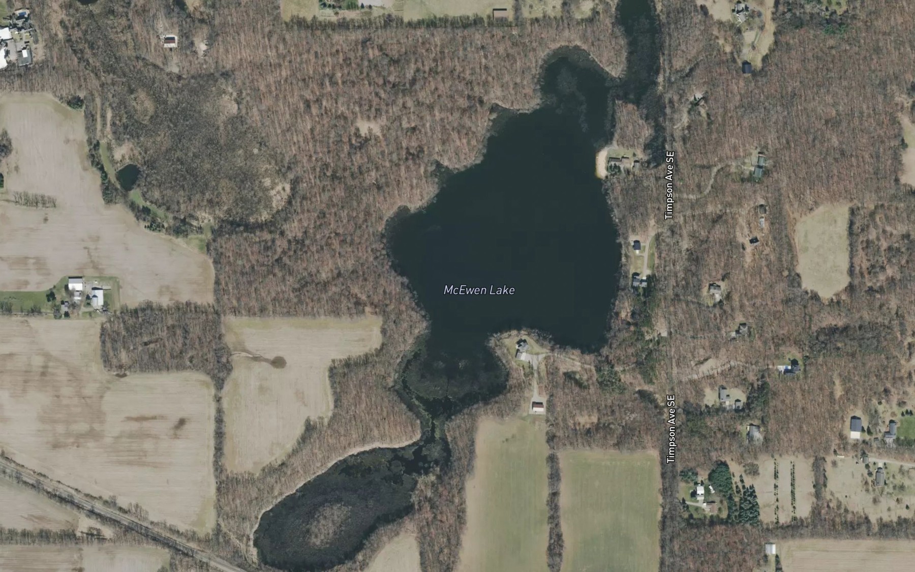 Satellite map of the McEwen Lake