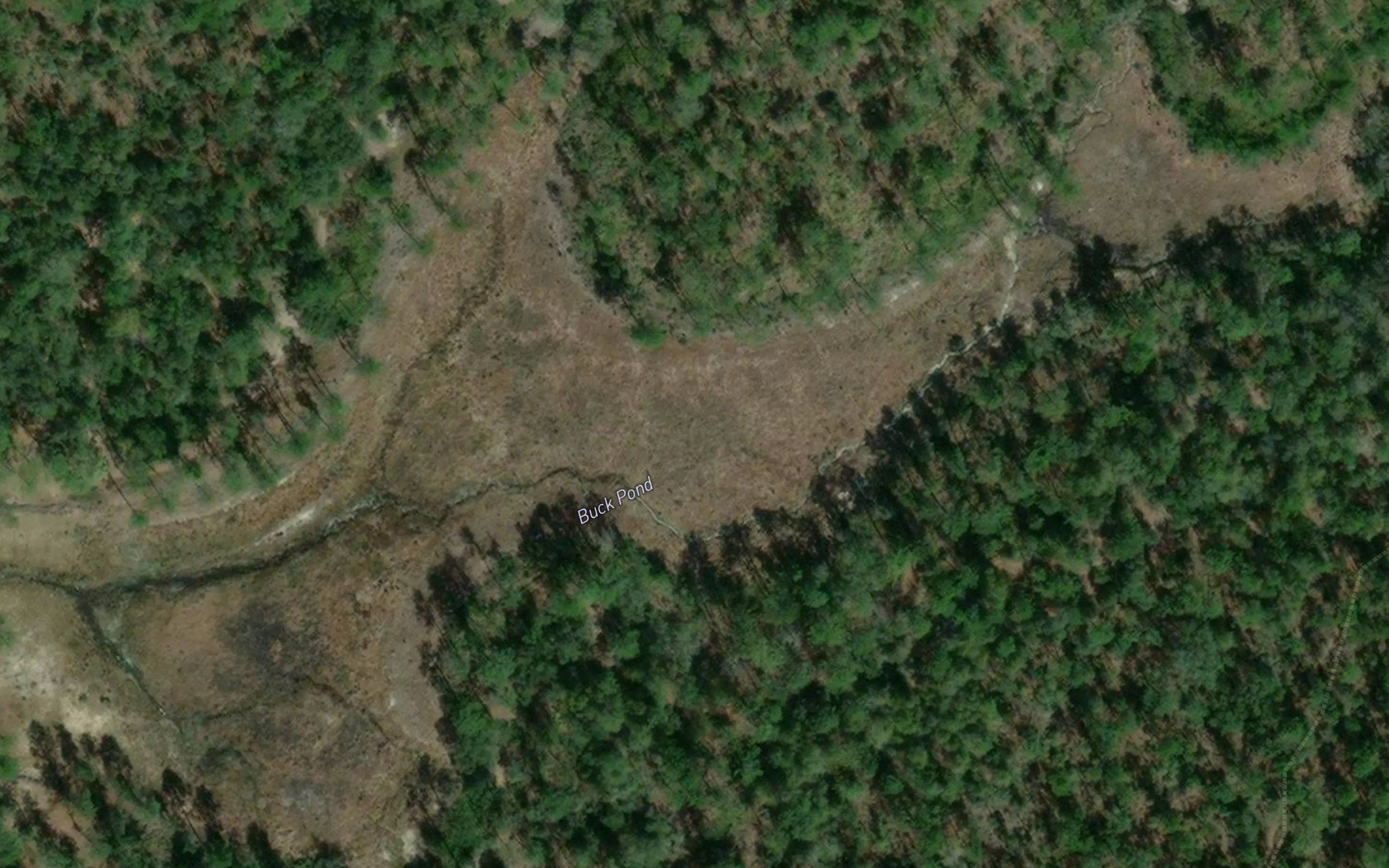 Buck Pond