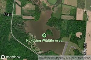 North Branch Kokosing River Lake