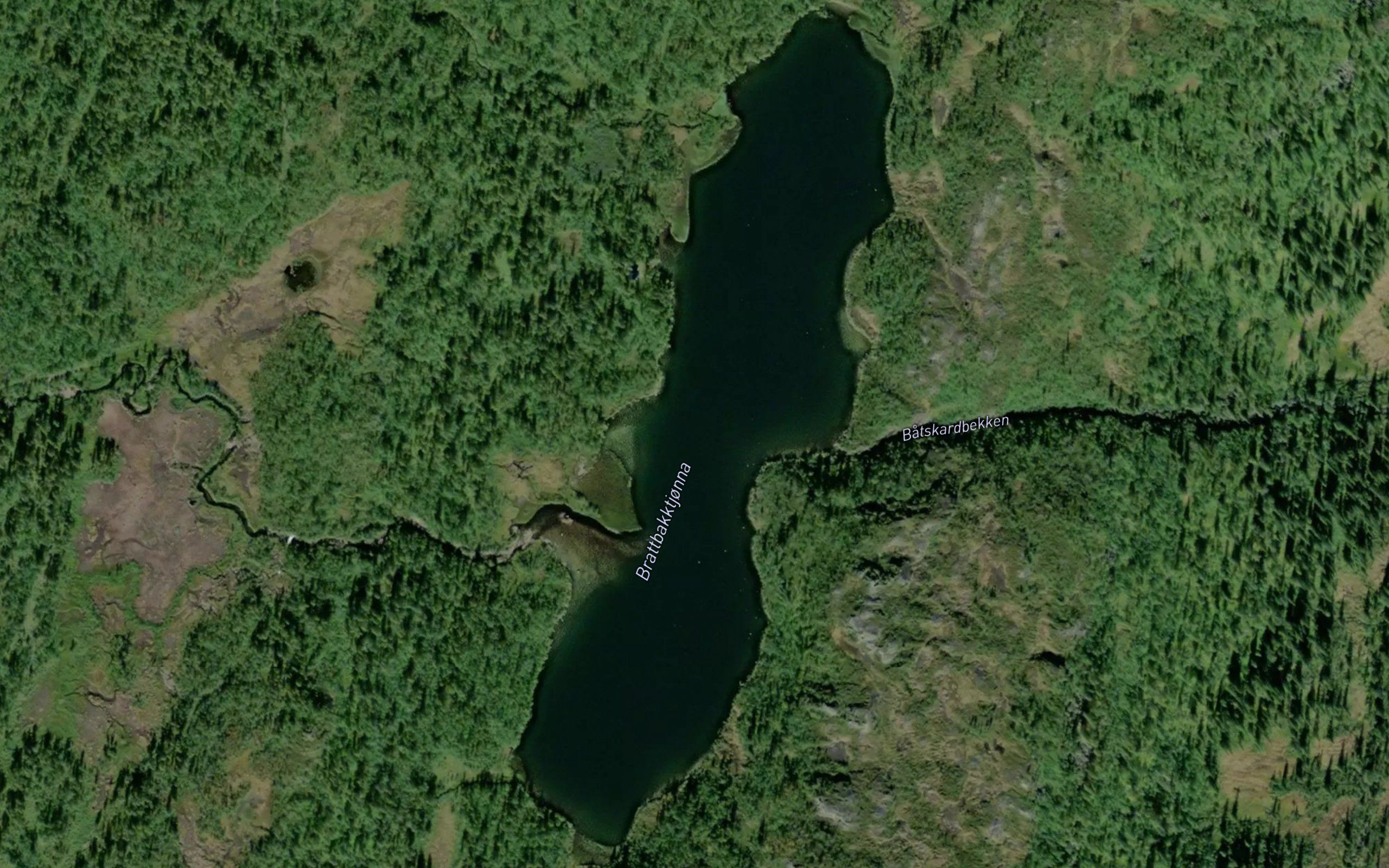 Brattbakktjorna