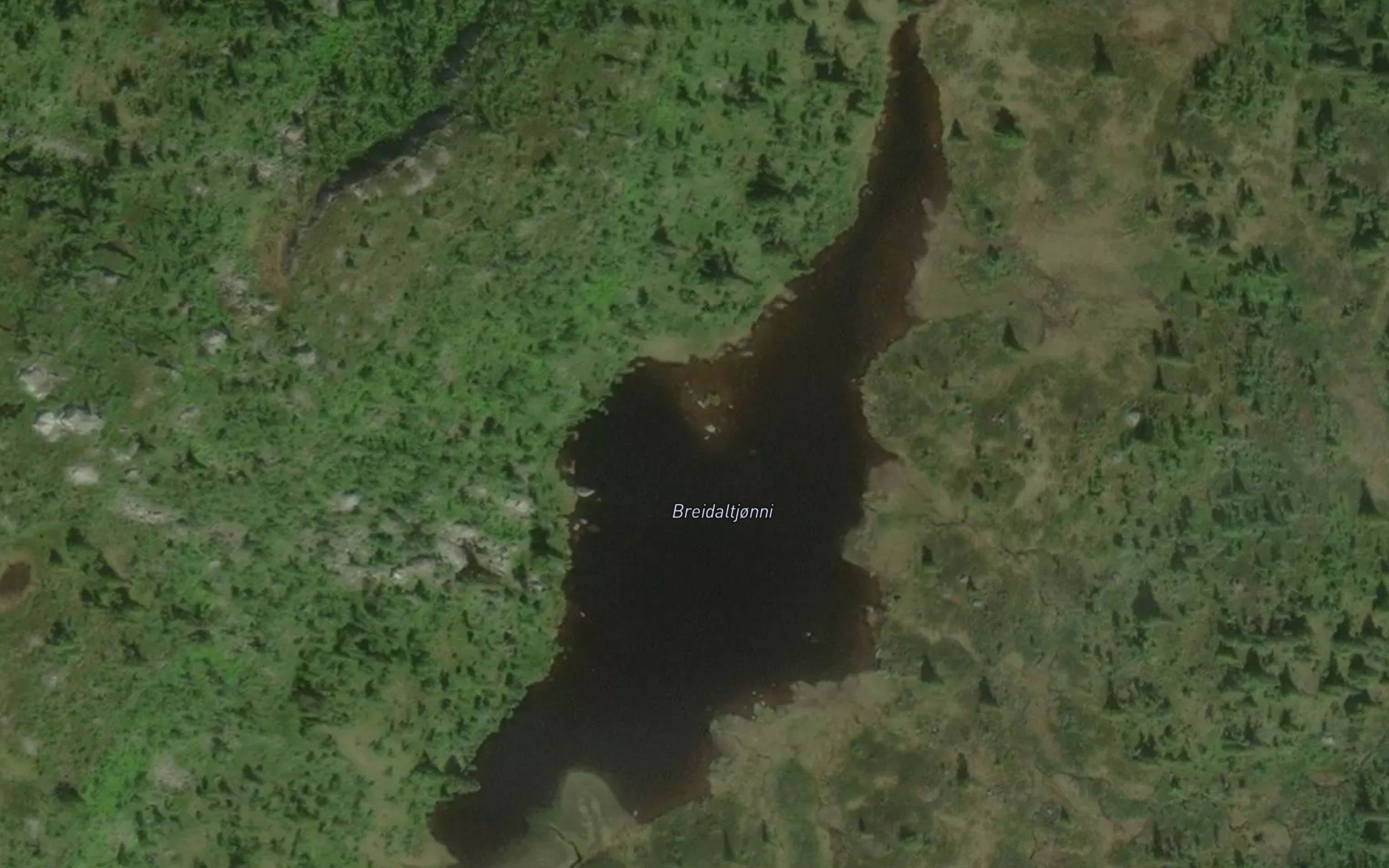 Breiddaltjorn