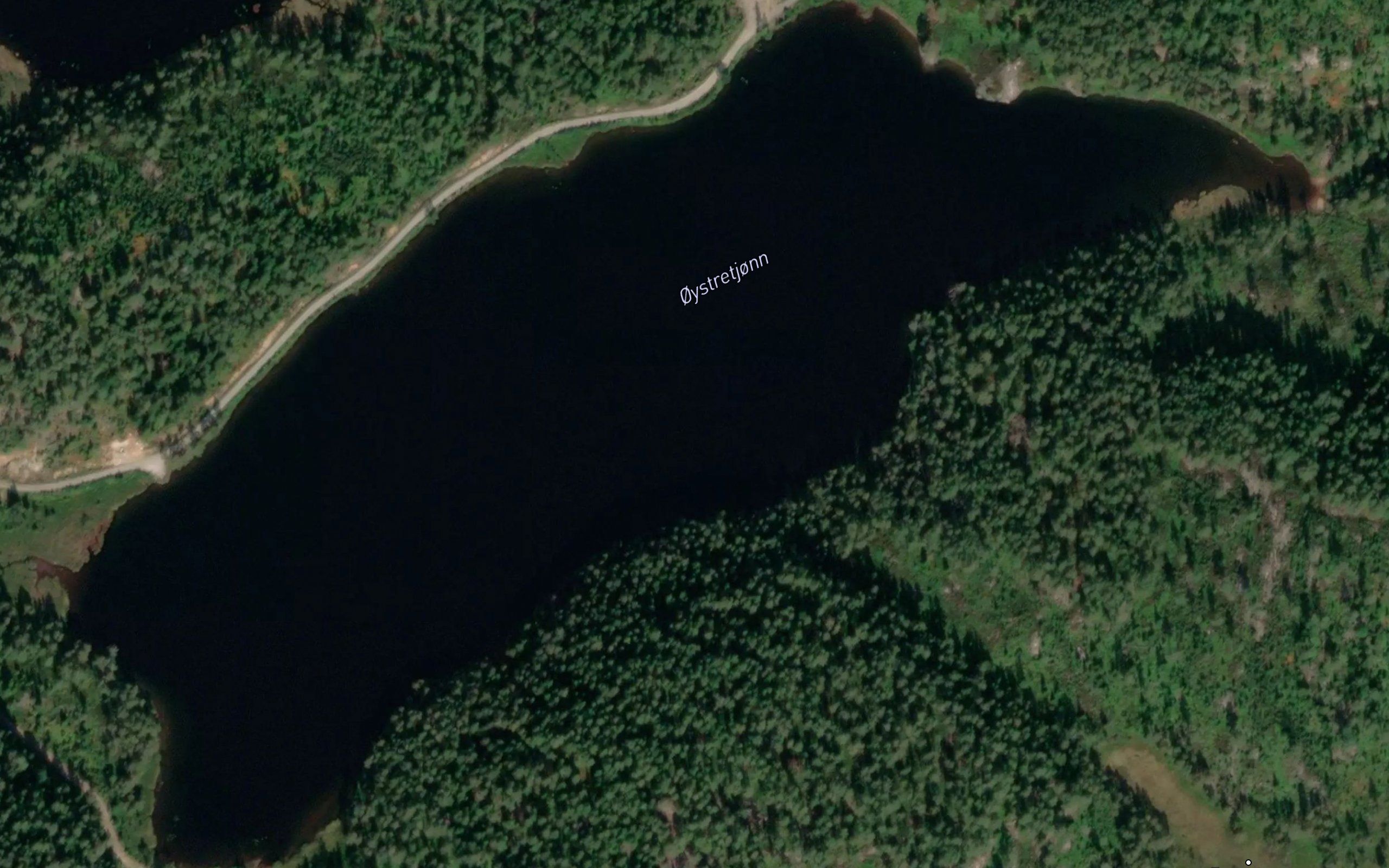 Austretjorn