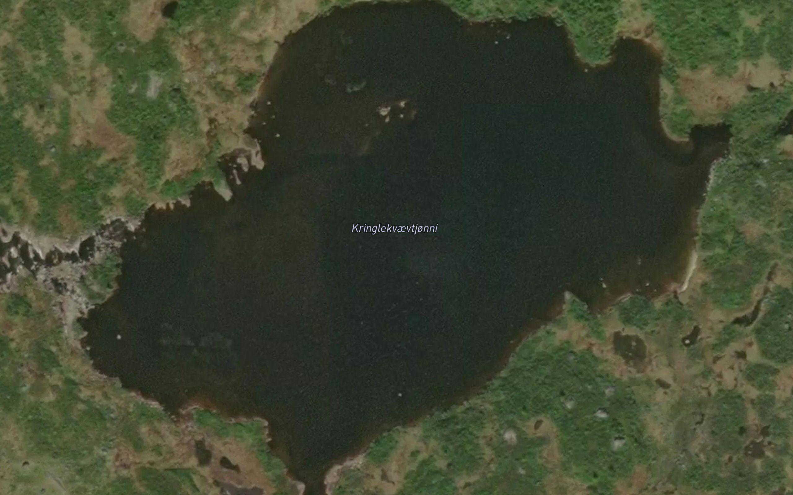 Kringlekvevtjorni