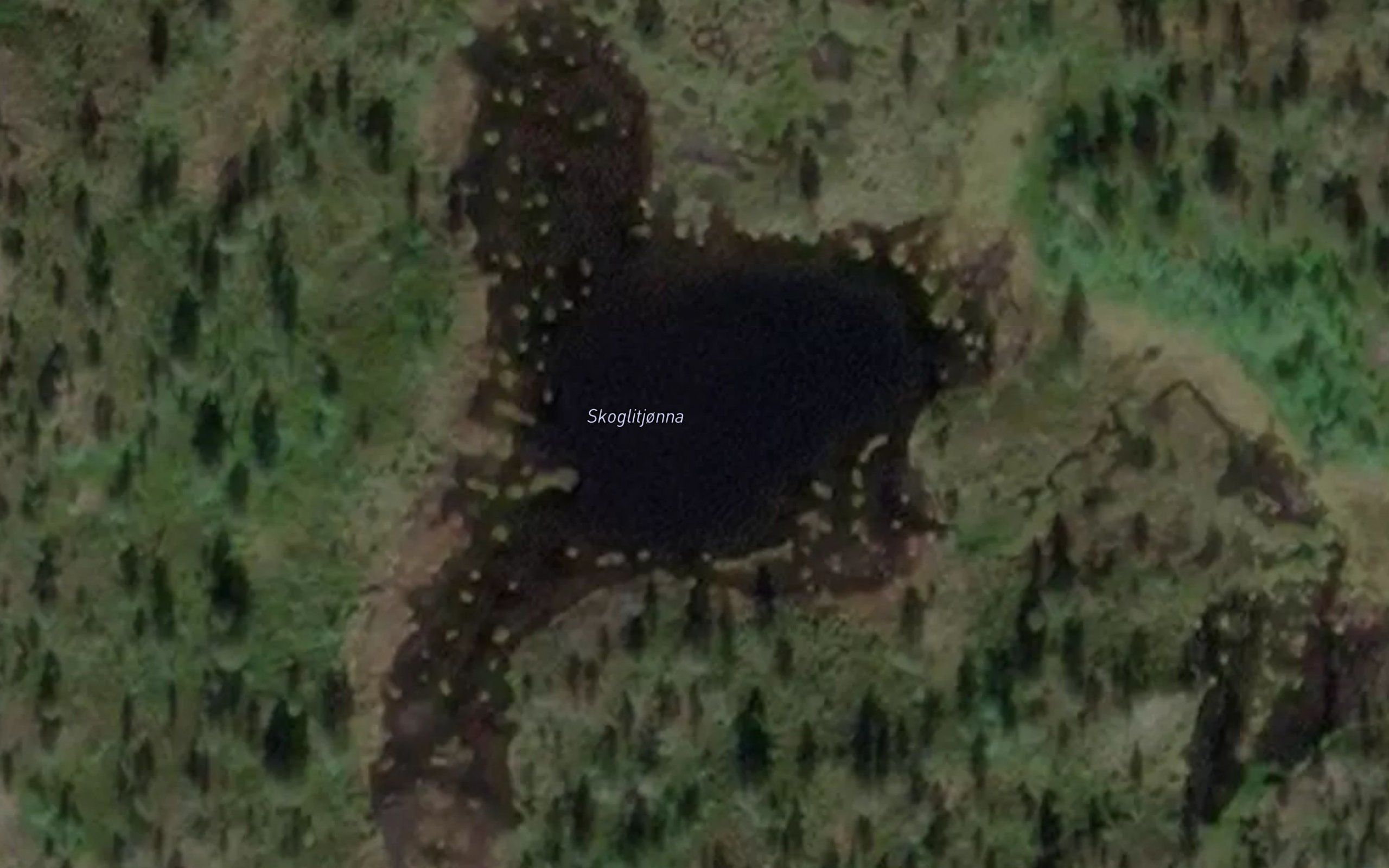 Skoglitjonna