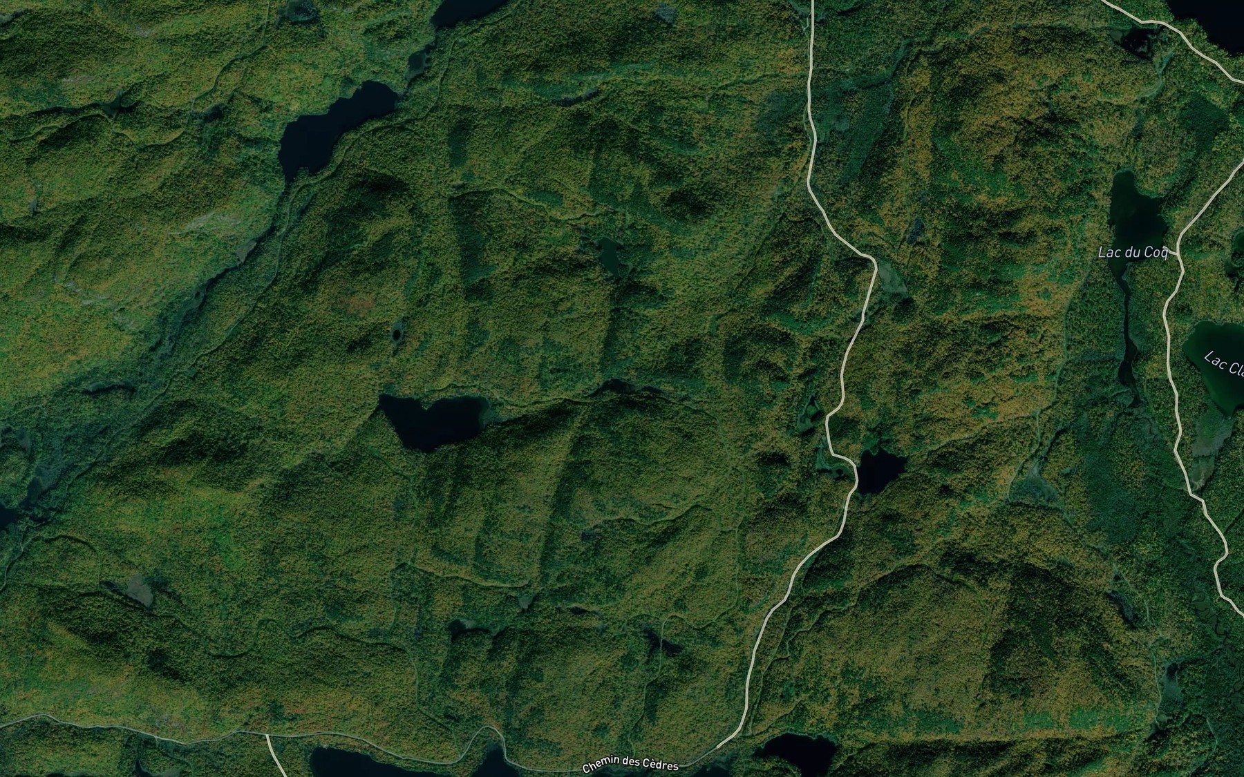 Satellite map of the Lac Africain