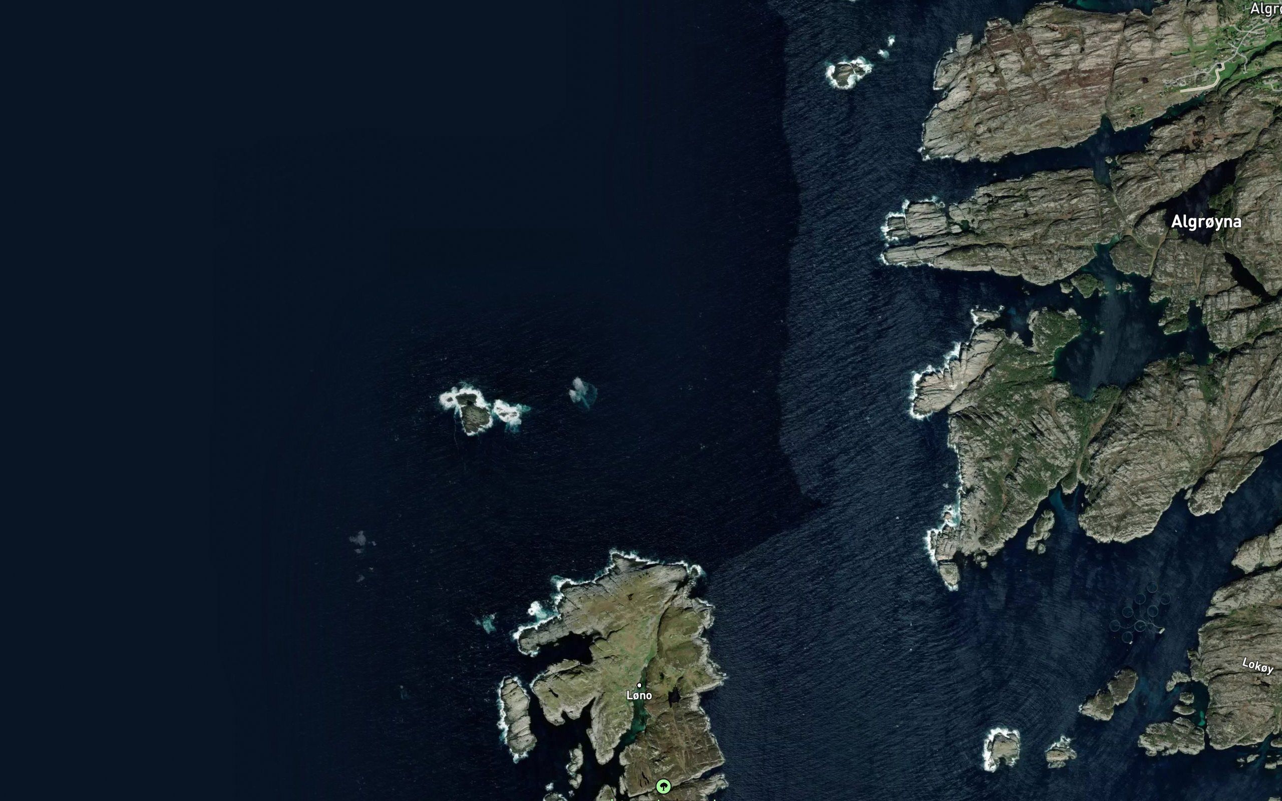 Ertenskjerflua
