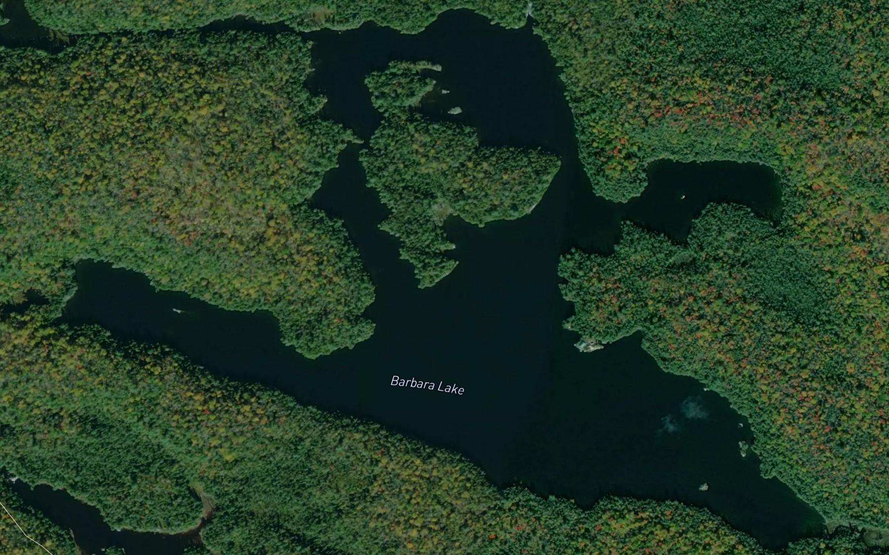 Satellite map of the Barbara Lake