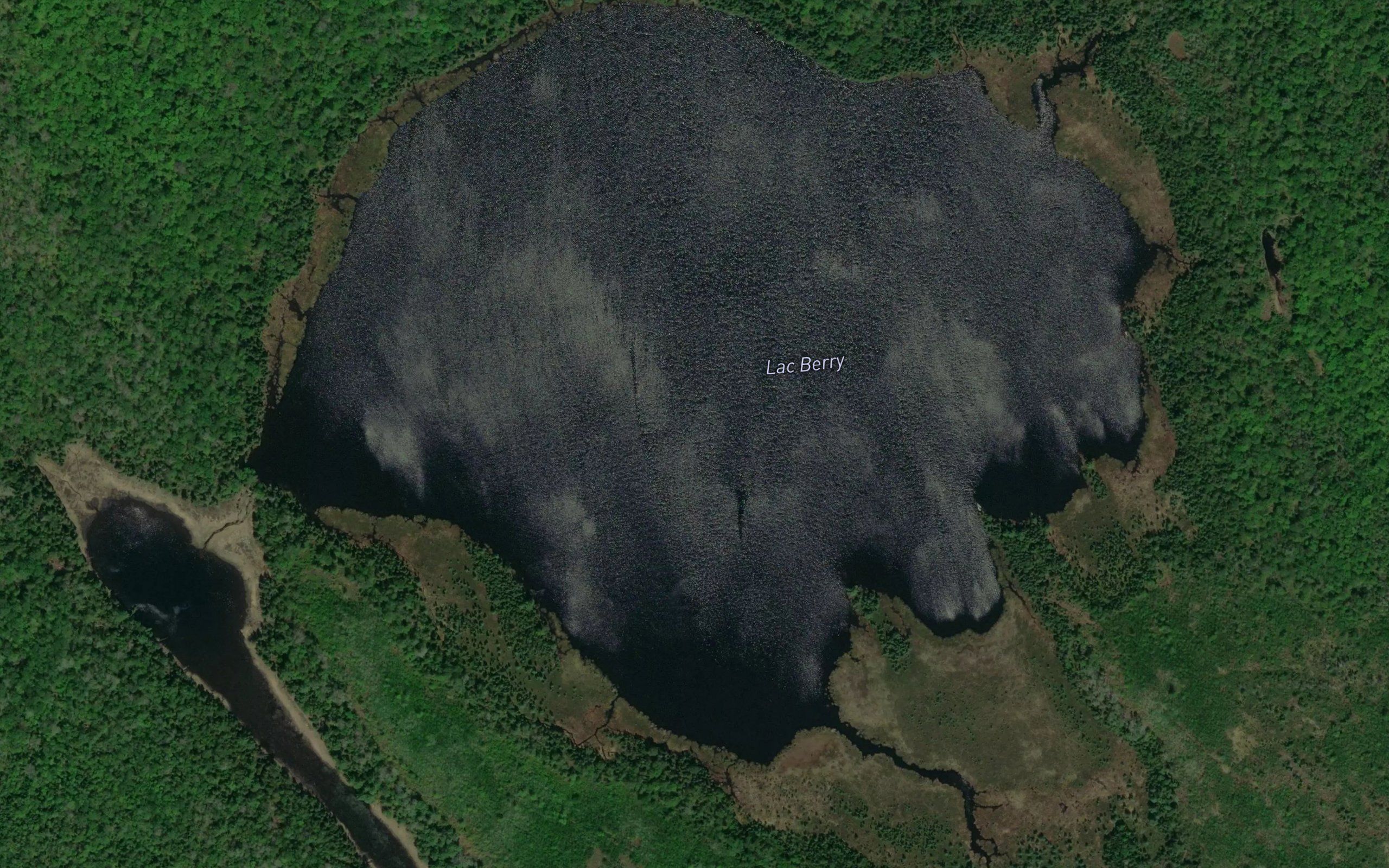 Lac Berry