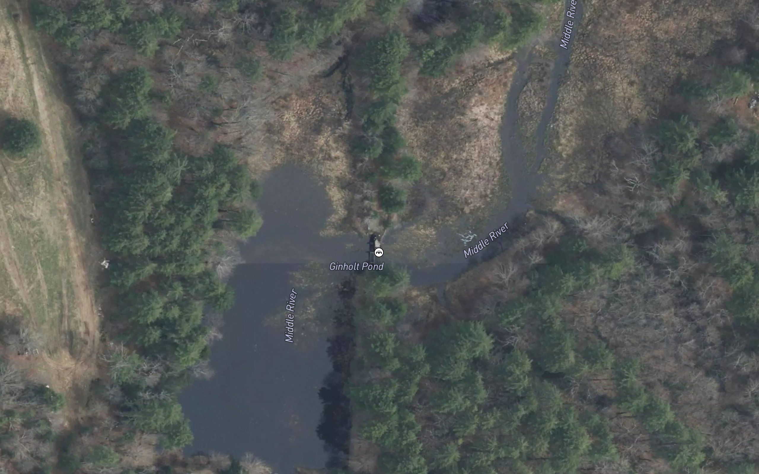 Ginholt Pond