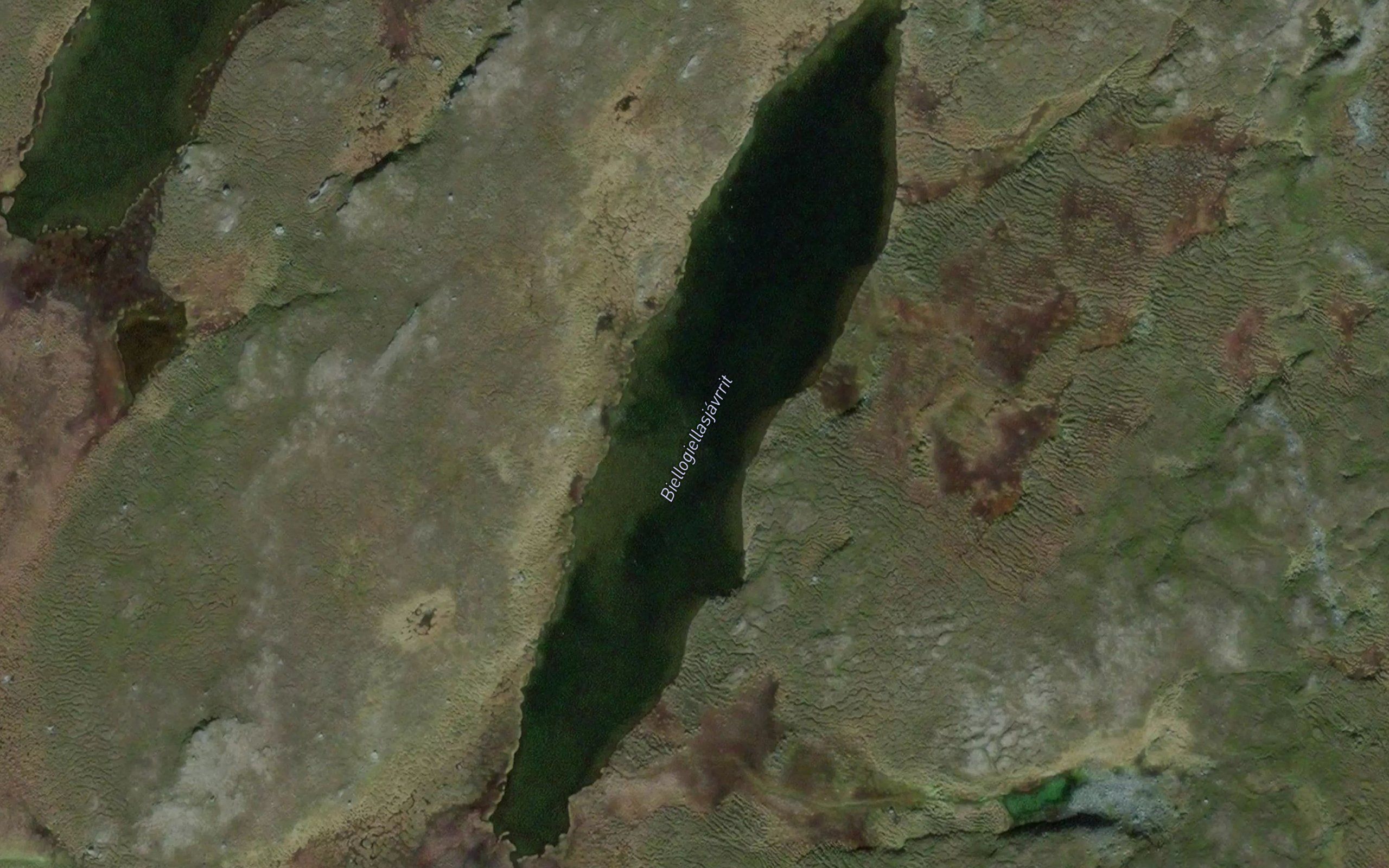 Biellugiellasjavrit