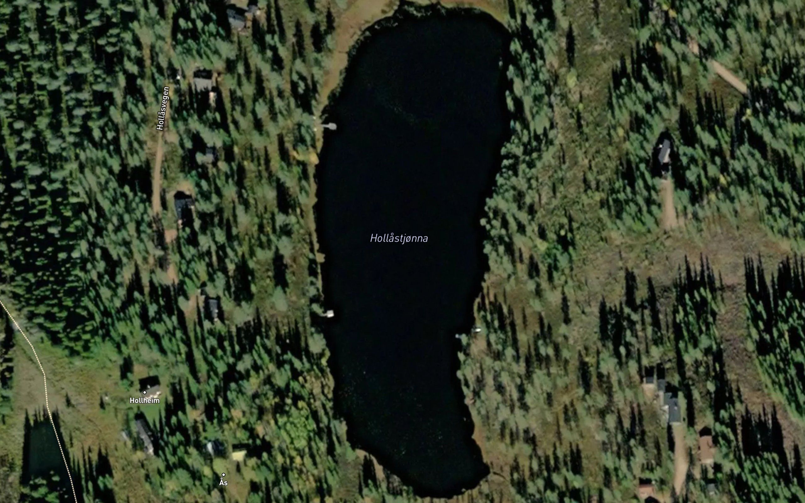 Hollastjorna