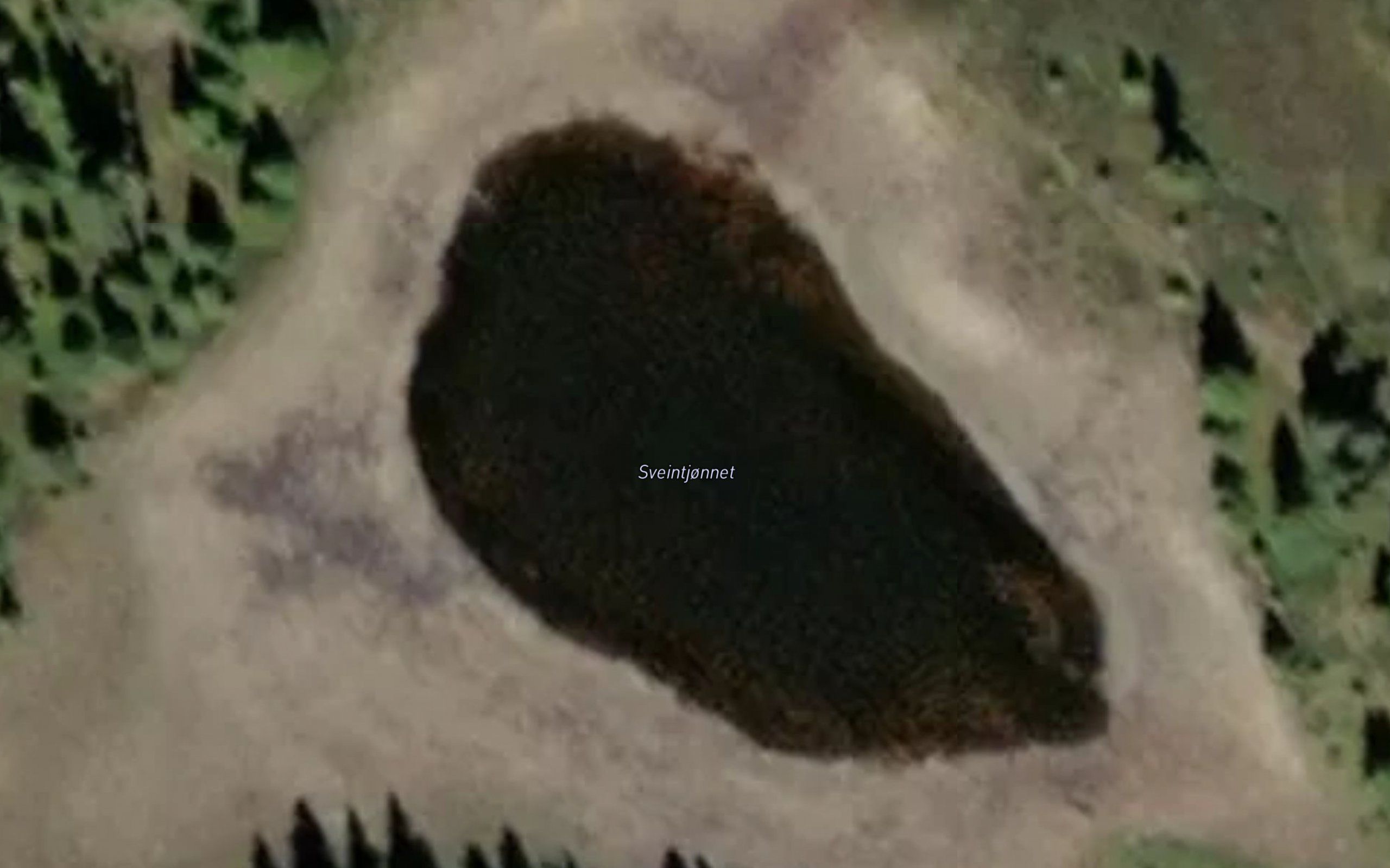 Sveintjonnet