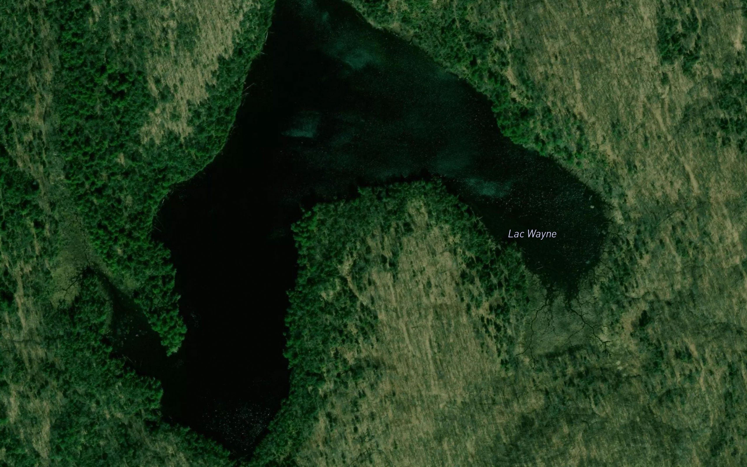 Lac Wayne