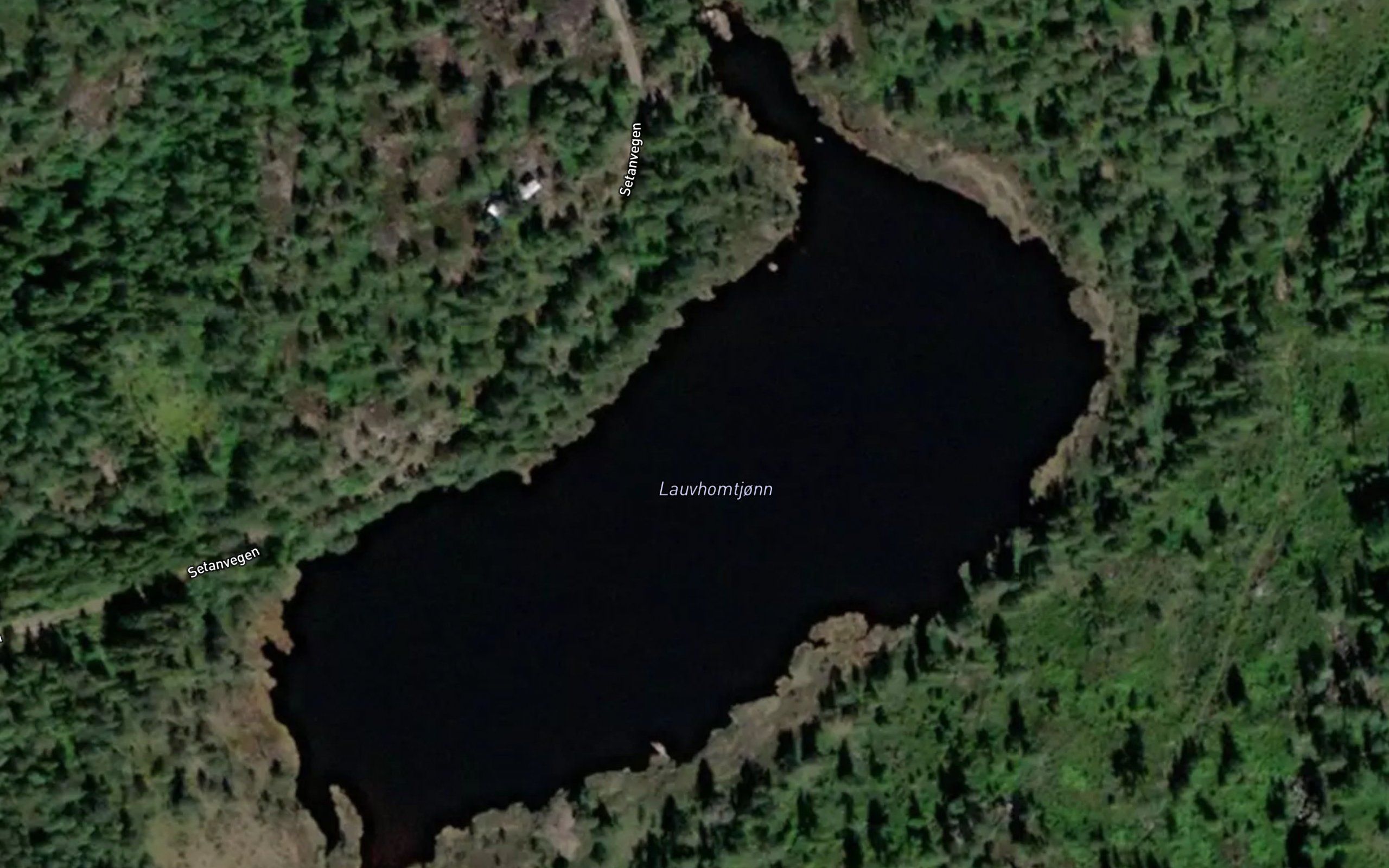Lauvhomtjonn