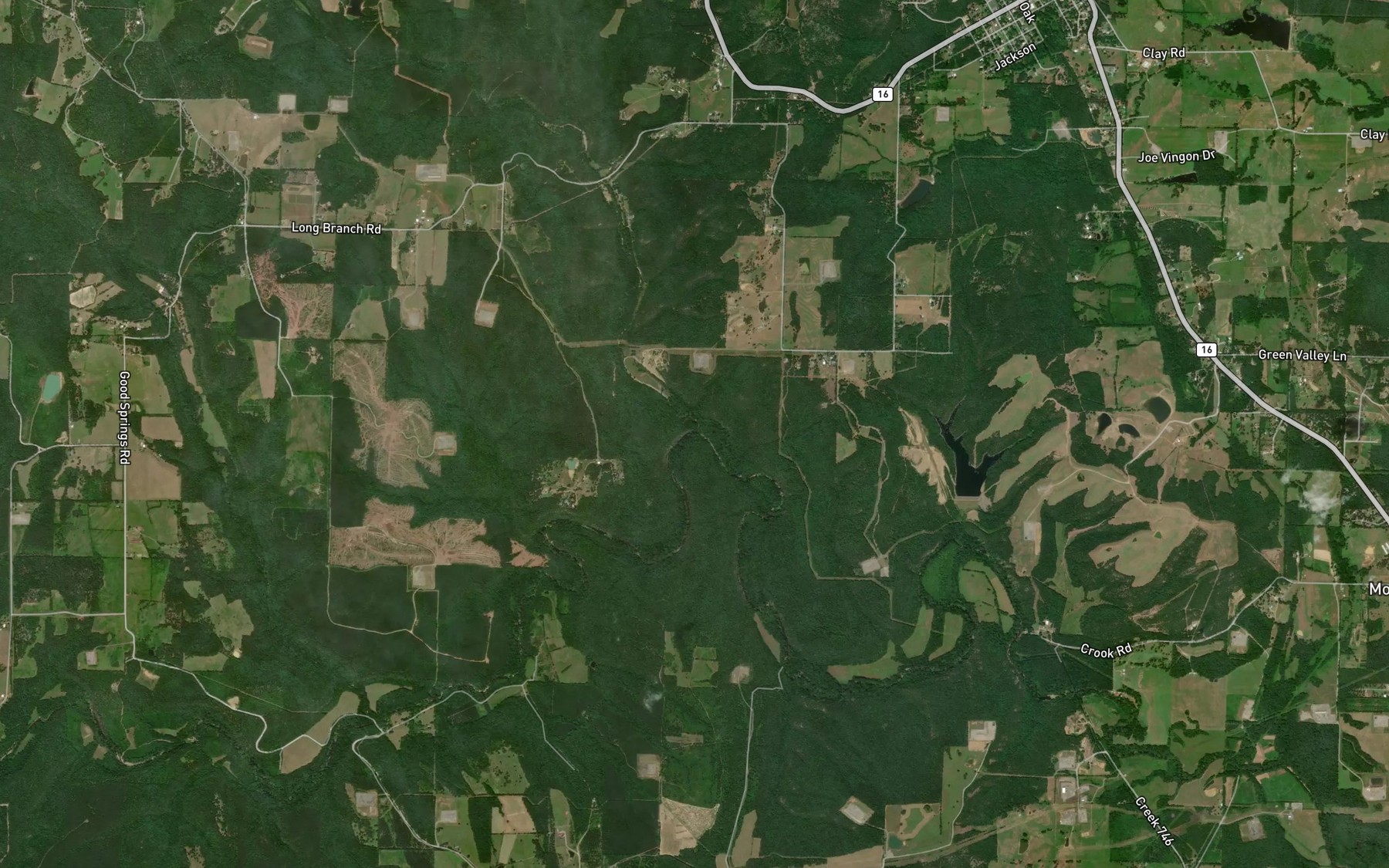 Satellite map of the Long Branch