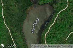 Mud Pond