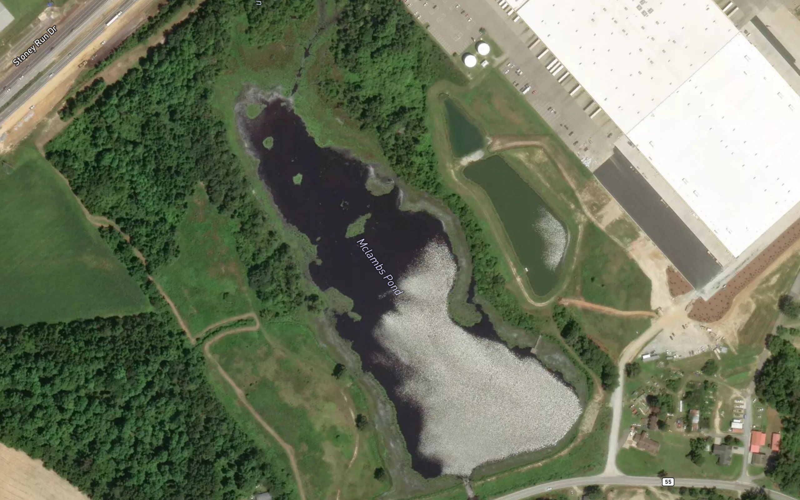 McLambs Pond