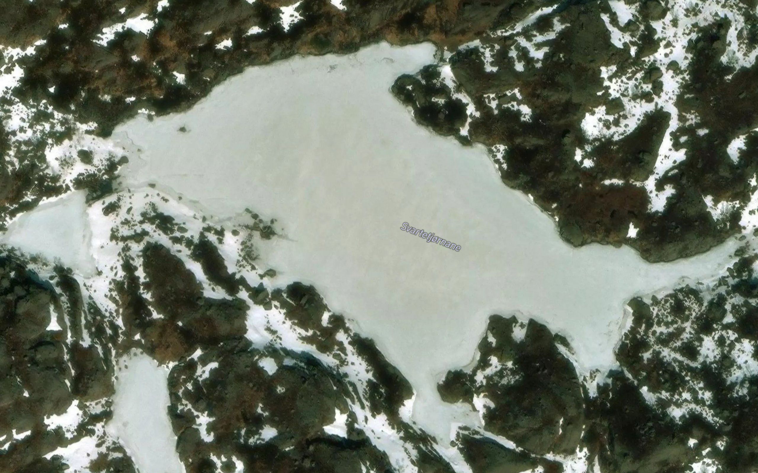 Svartetjernet