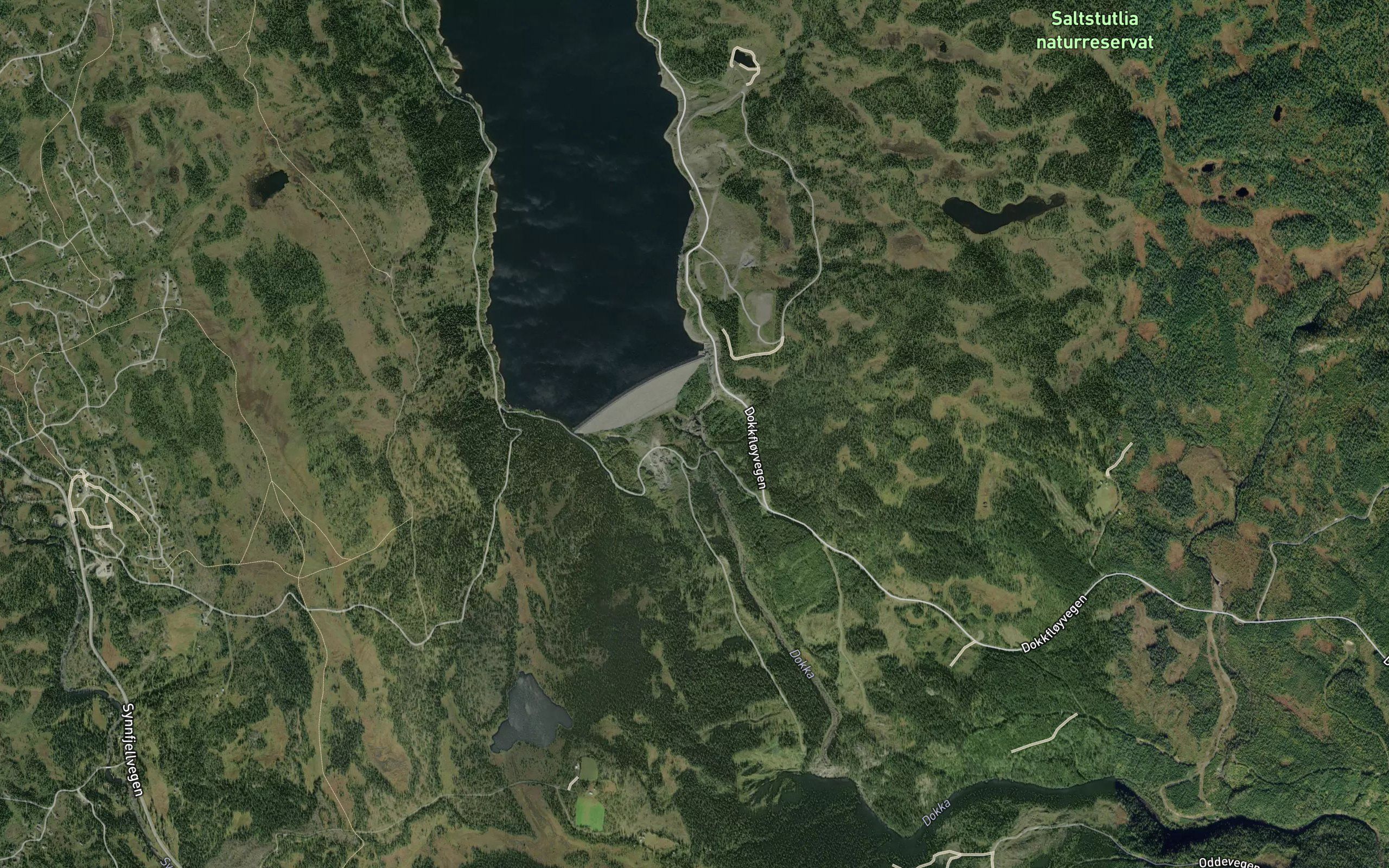 Veslfossen