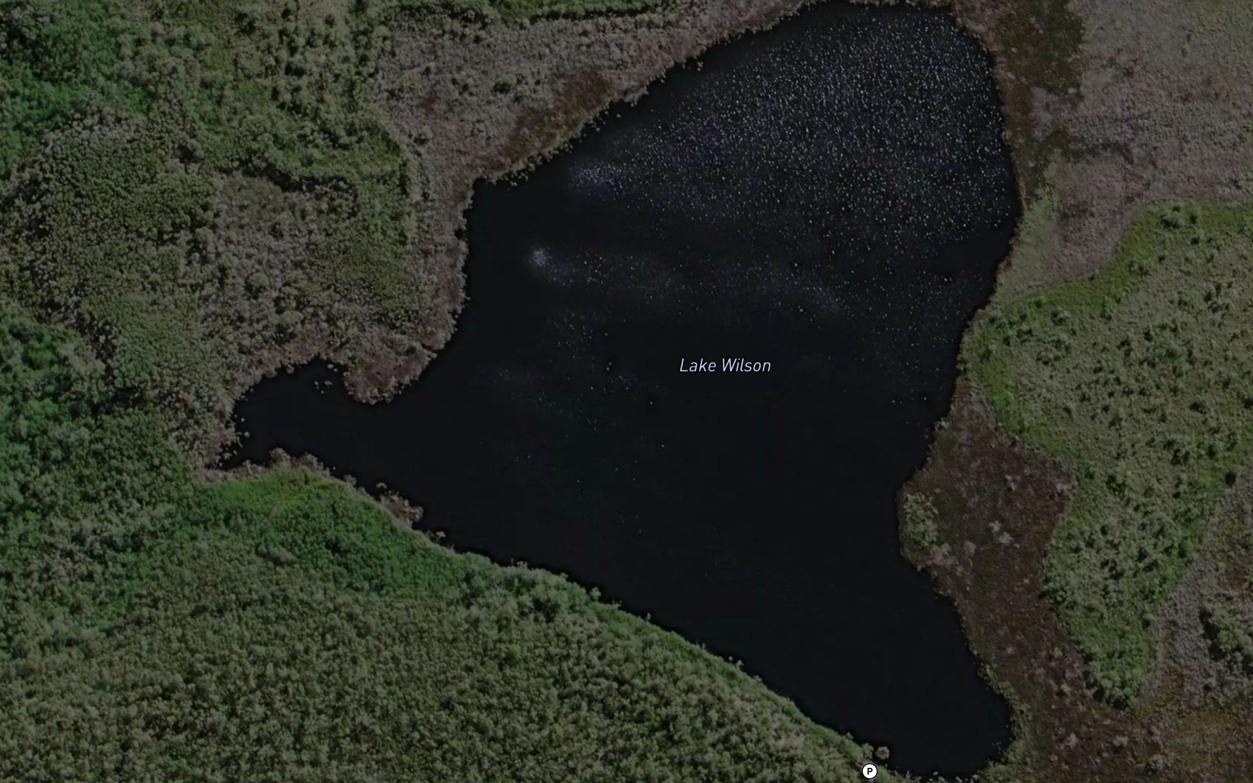 Lake Wilson