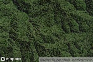 Mangawaiiti West Branch