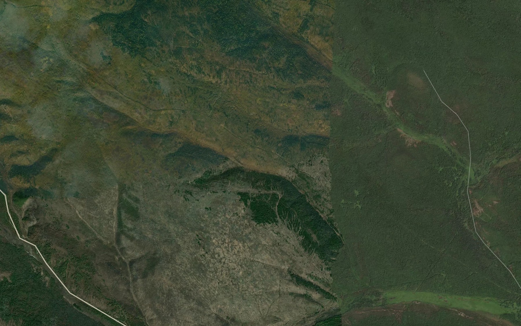 Satellite map of the Shipitsinskaya