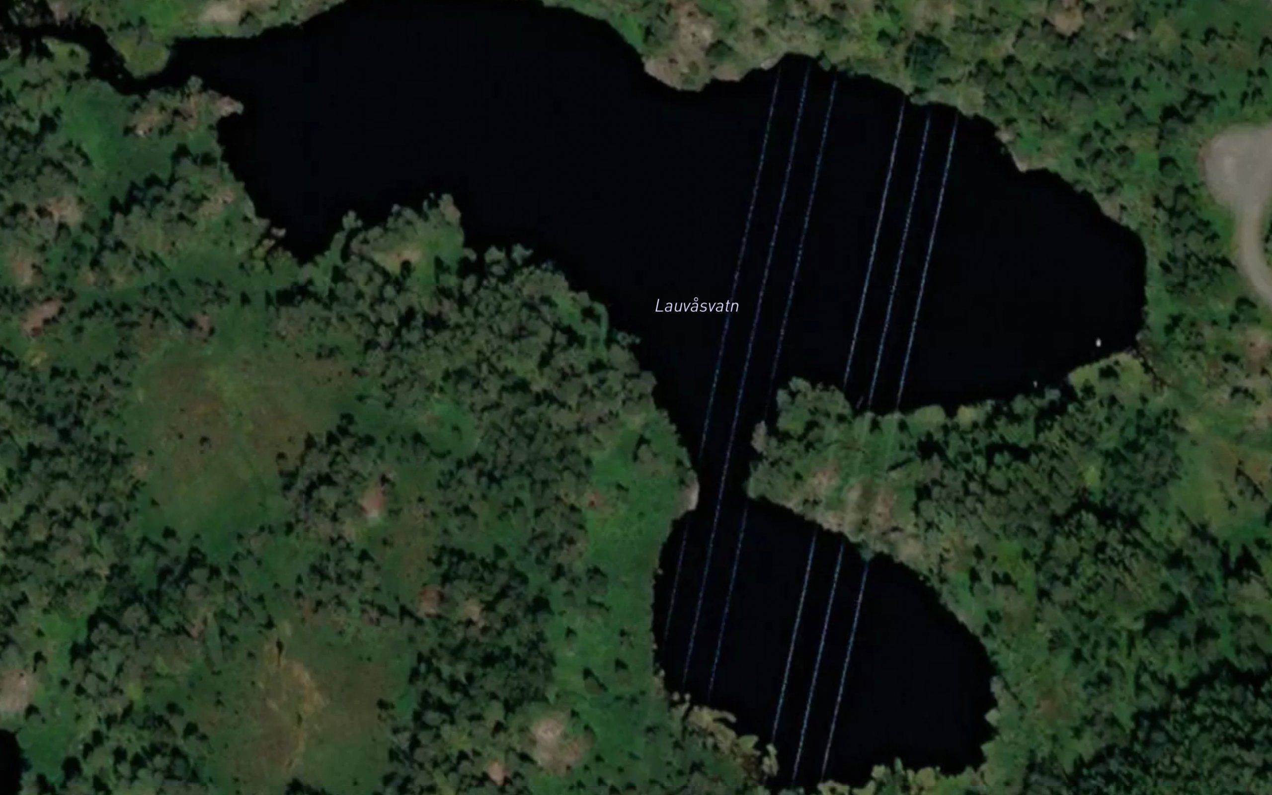 Lauvasvatn