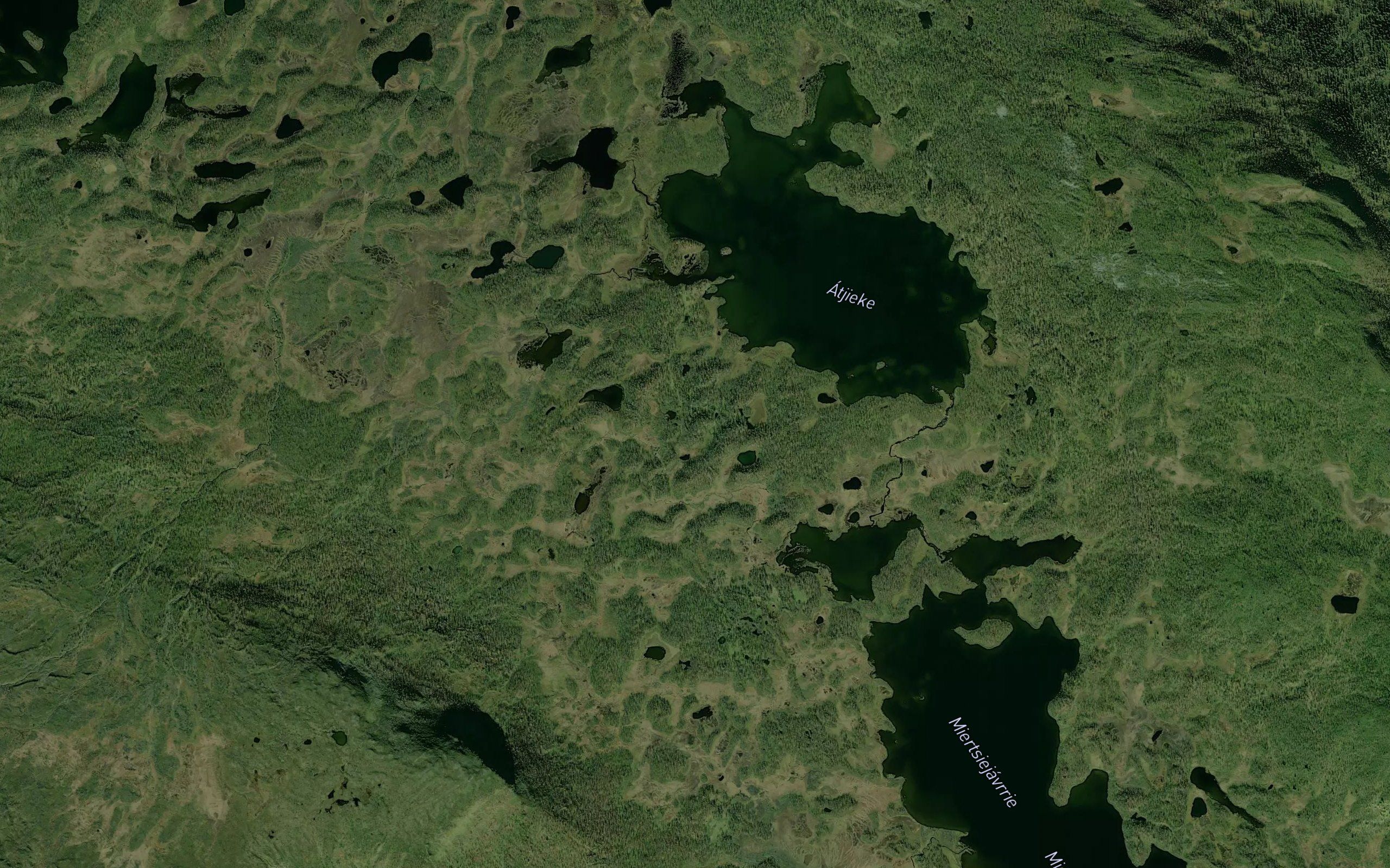 Aljekjaure