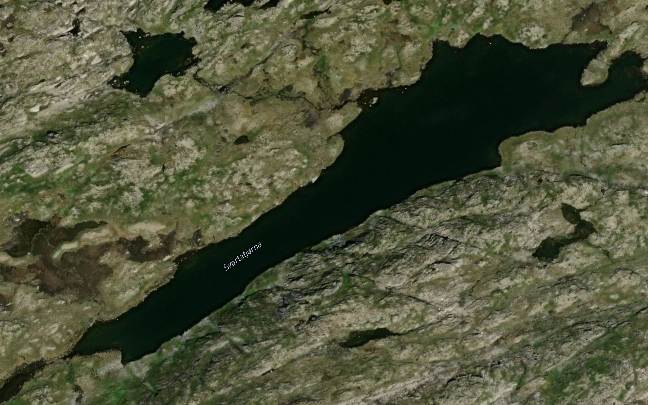 Svartetjorni