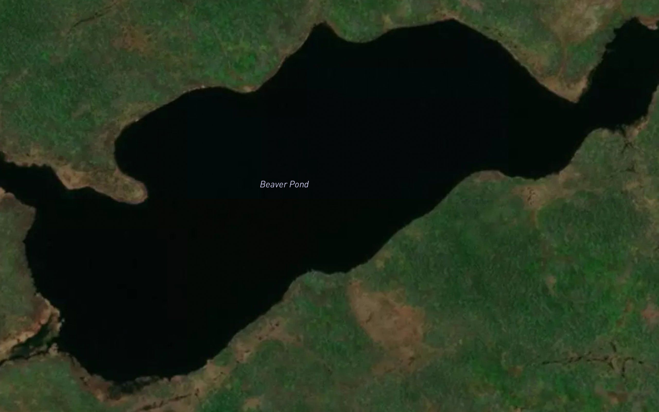 Beaver Pond
