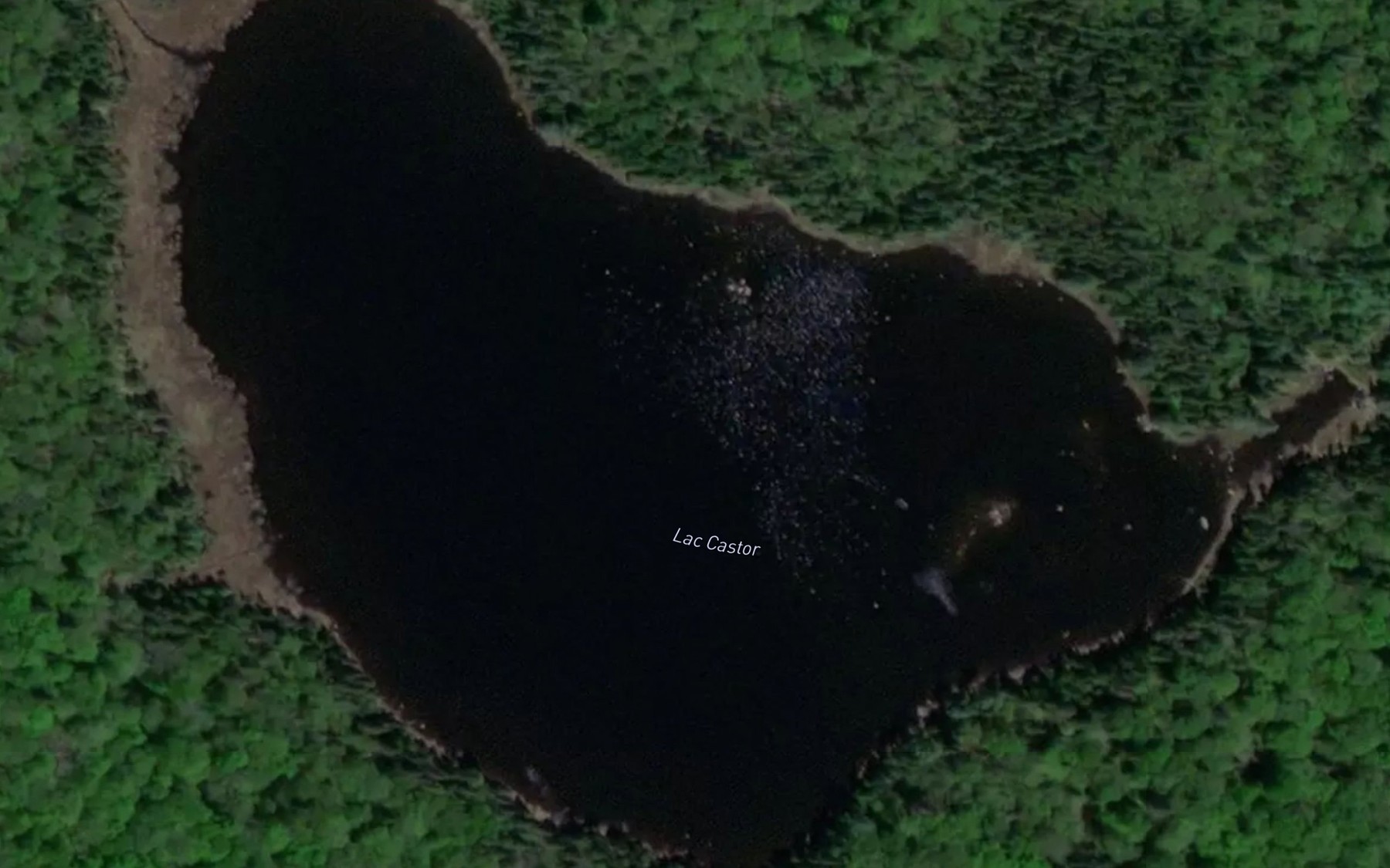 Satellite map of the Lac Castor