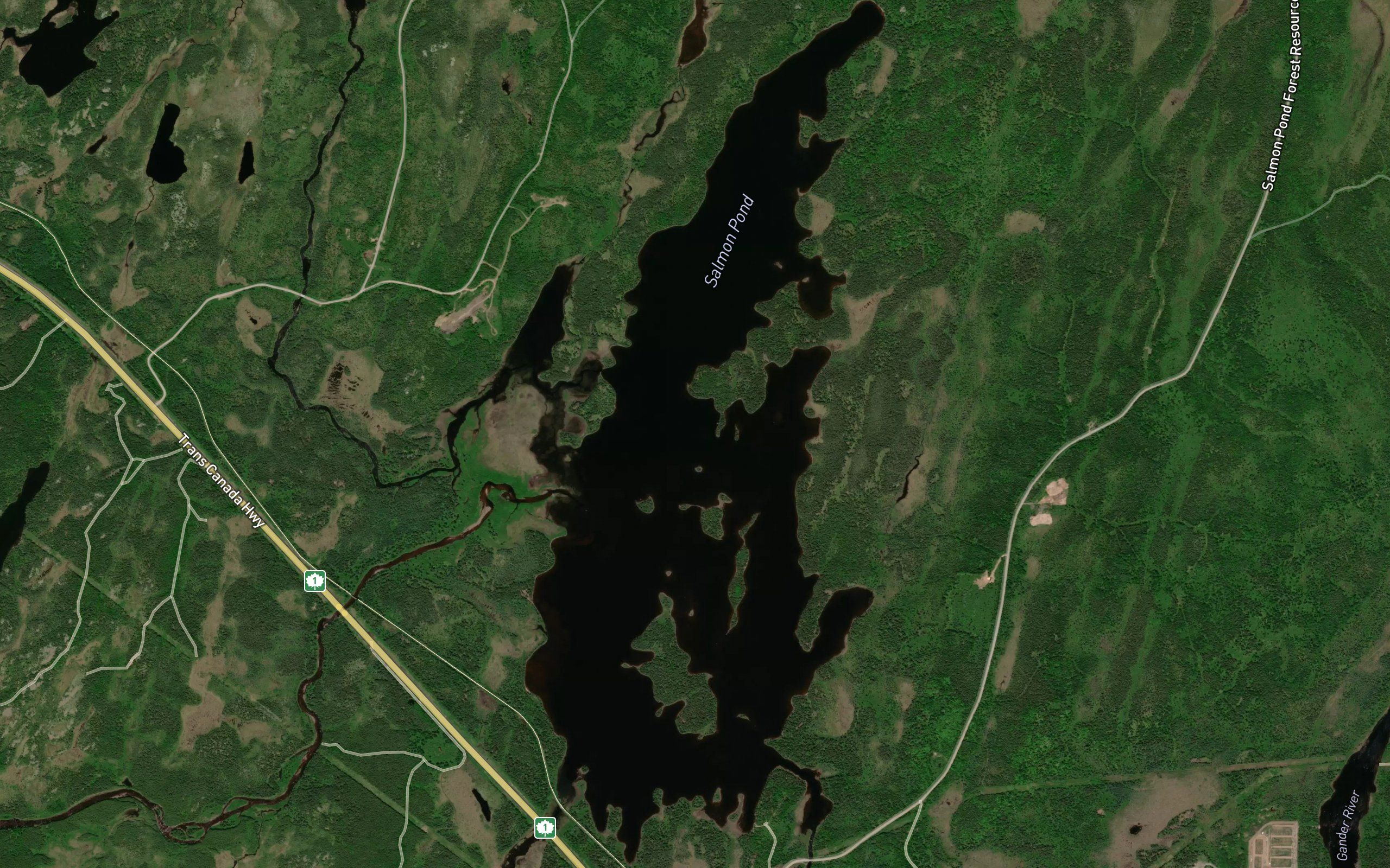 Salmon Pond