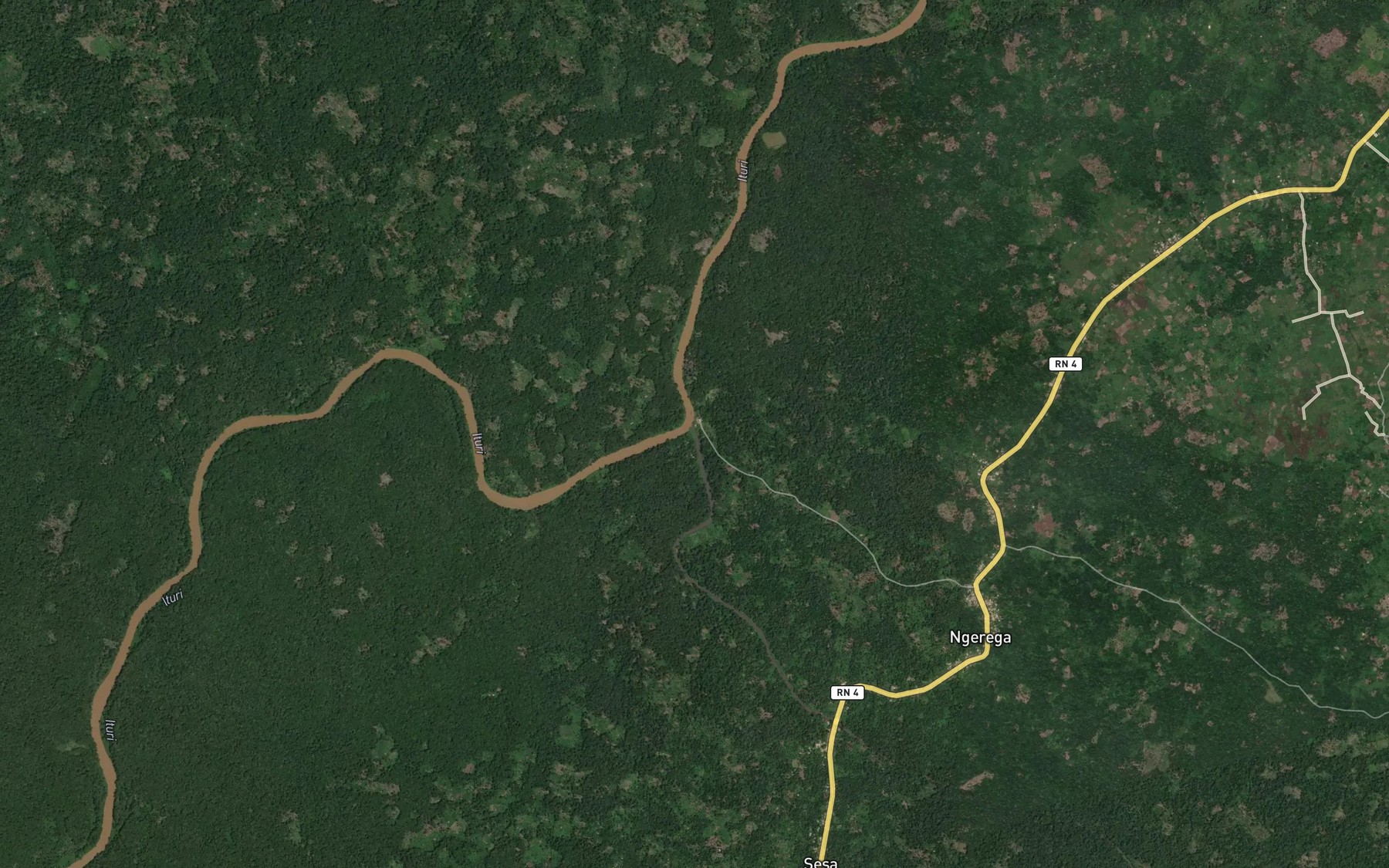 Satellite map of the Laya