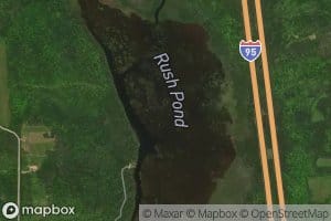 Rush Pond