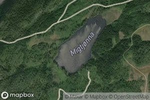 Migtjorna