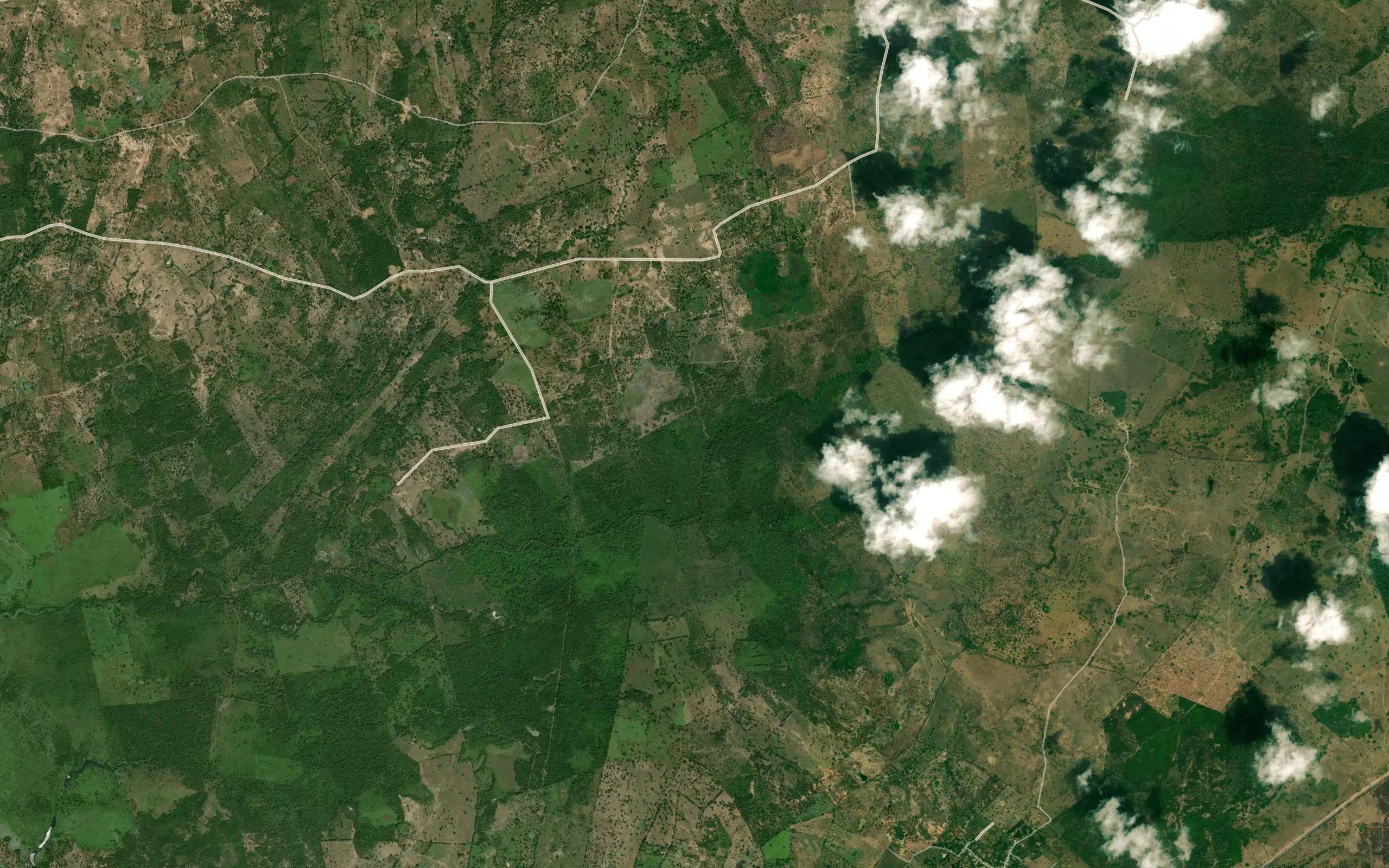 Arroyo Palma