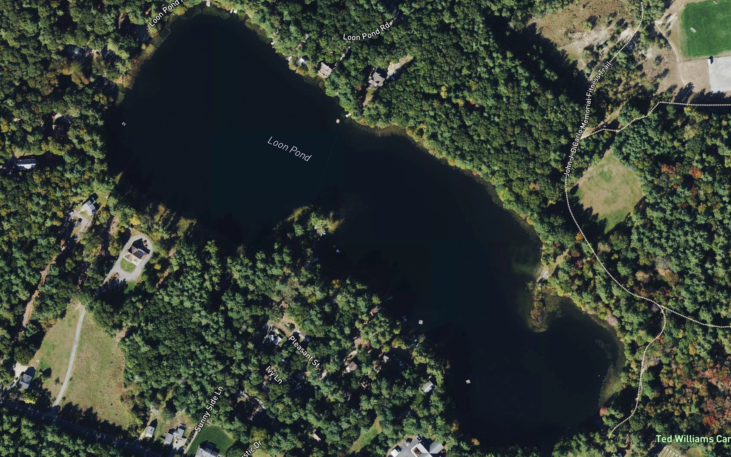 Loon Pond