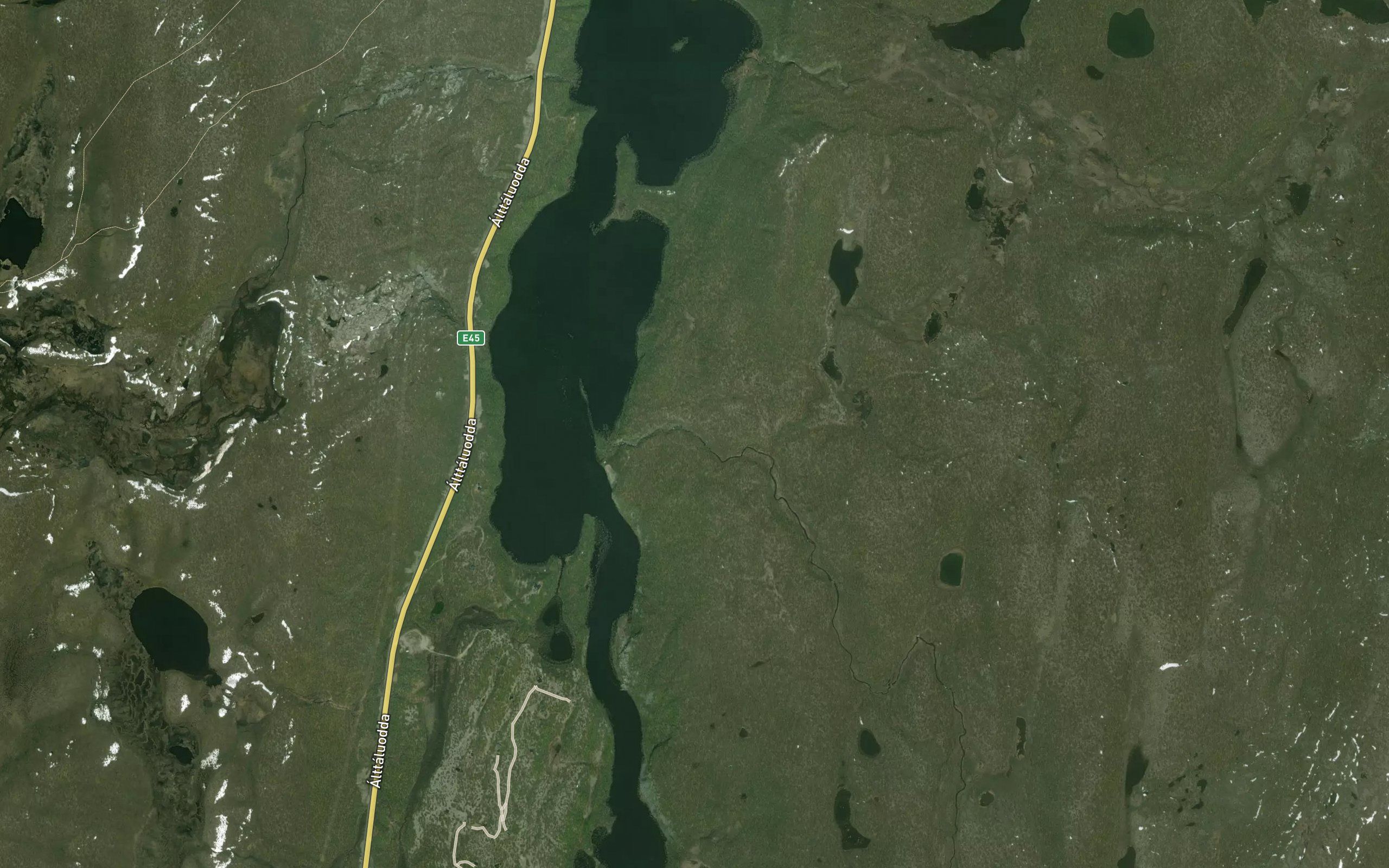 Askasjakka