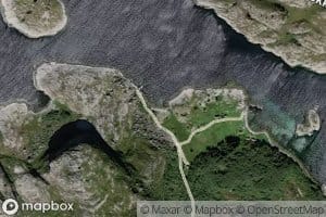 Torvvika